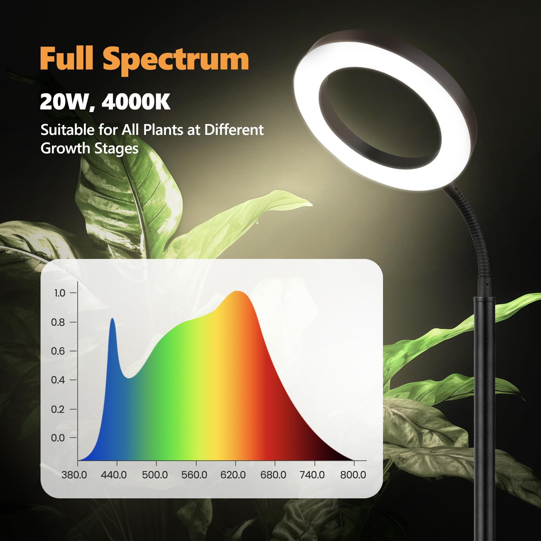 Vsoke Grow Light for Indoor Plants, 20W LED, Adjustable Stand, Off Timer, 10 Dimmable Brightness, Large, Floor-standing Ring Black, Model 24RingBlaV