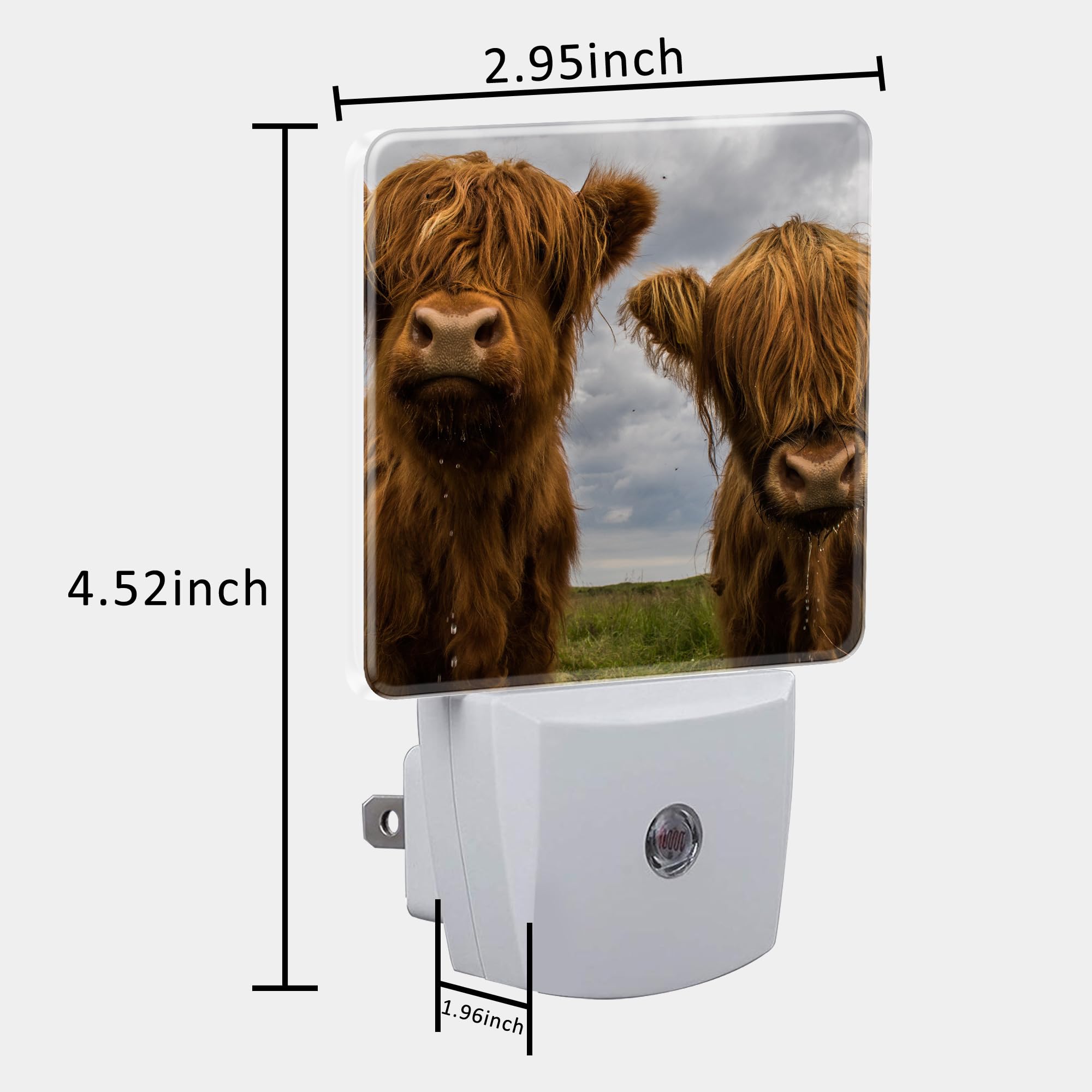 Uiaoiais Highland Cows Night Light With Dusk To Dawn Sensor For Kid Girls Boys Women Men Room Decor, Hallway, Kitchen, Bathroom,