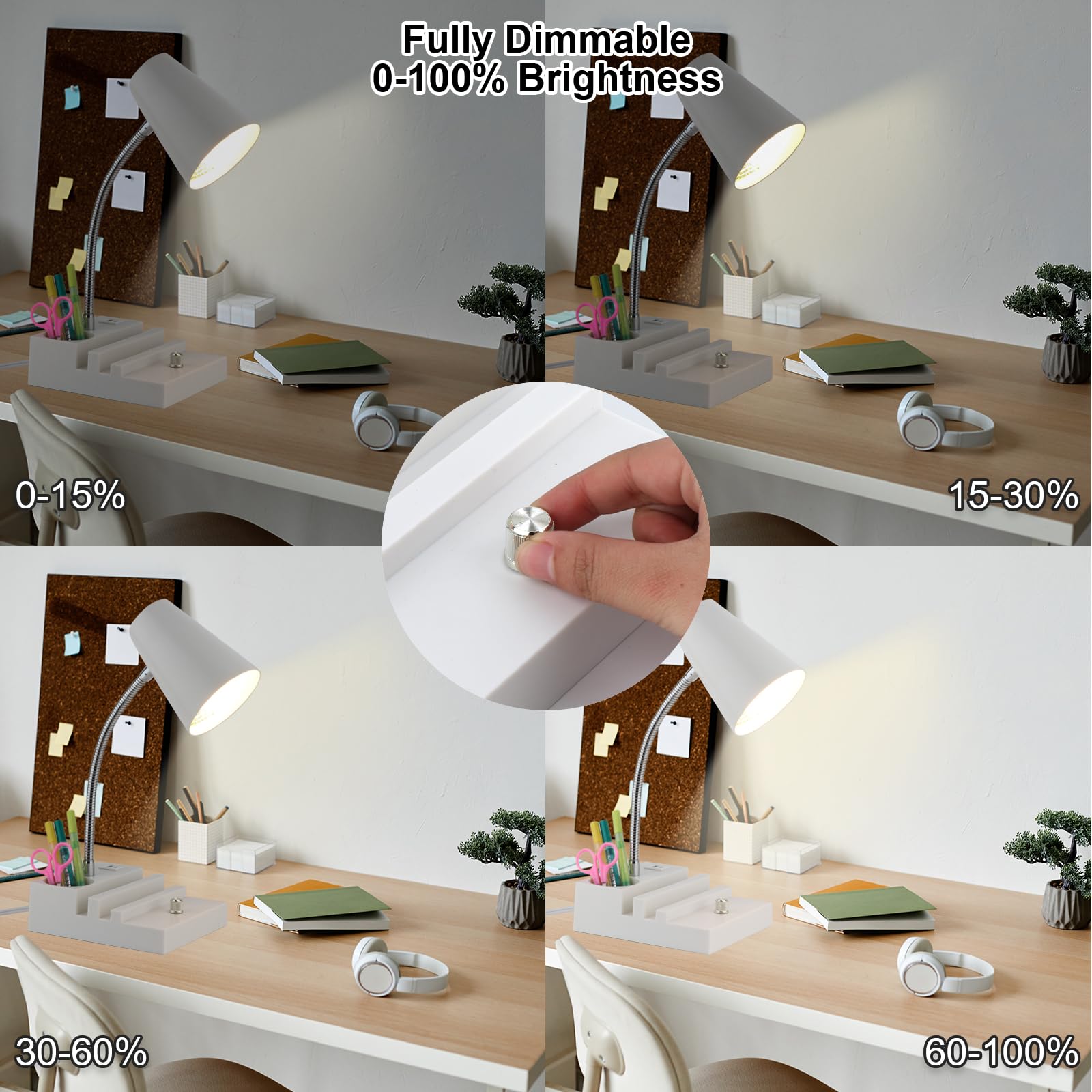 LALISU Study Desk Lamp with USB Charging, Gooseneck, LED, Stepless Dimming, Metal, White, Model LALISUSTU078