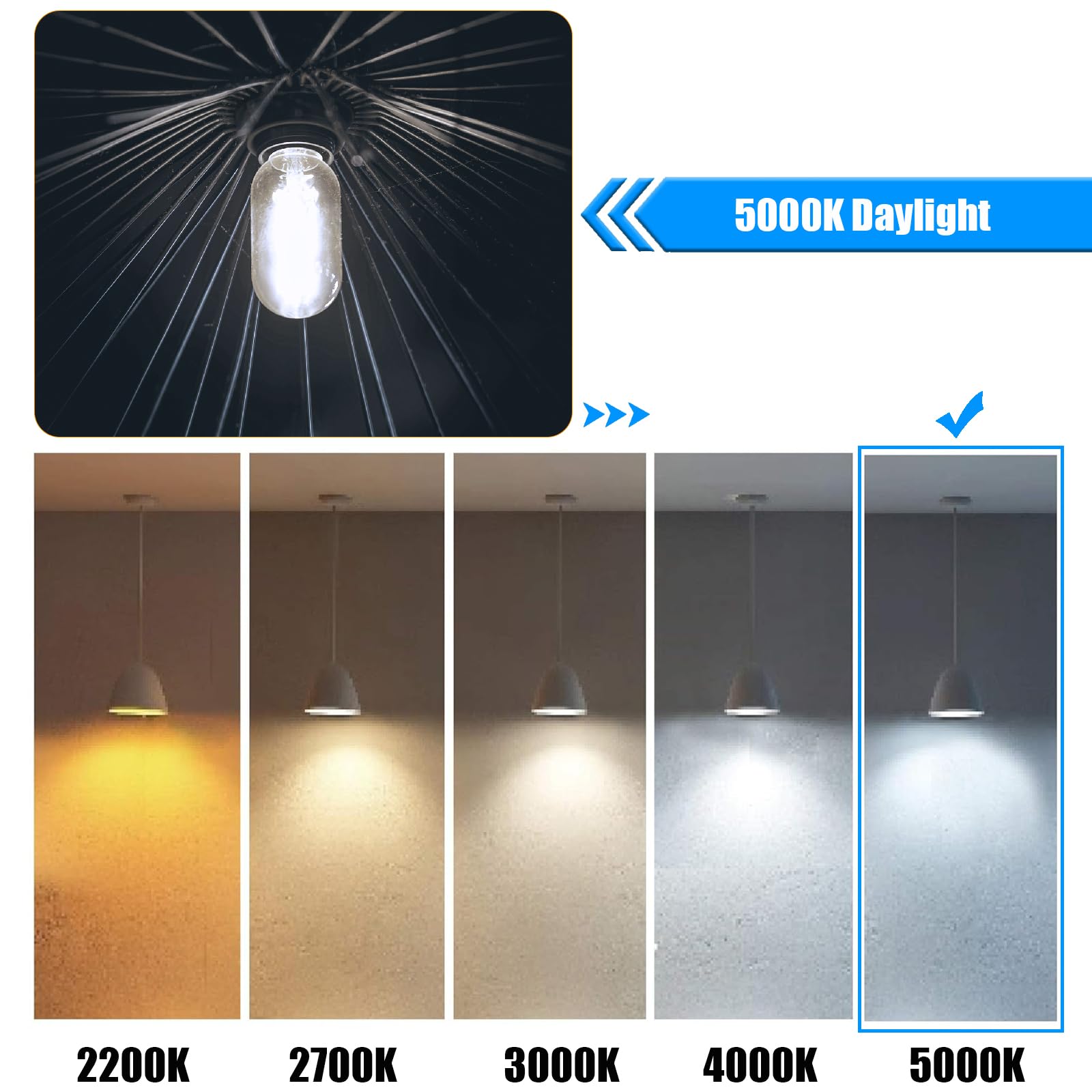 winsaLED Dimmable LED Bulb 60W Equivalent, Vintage E26 Base, 5000K Daylight, 6W, 800LM, 12 Pack, Glass