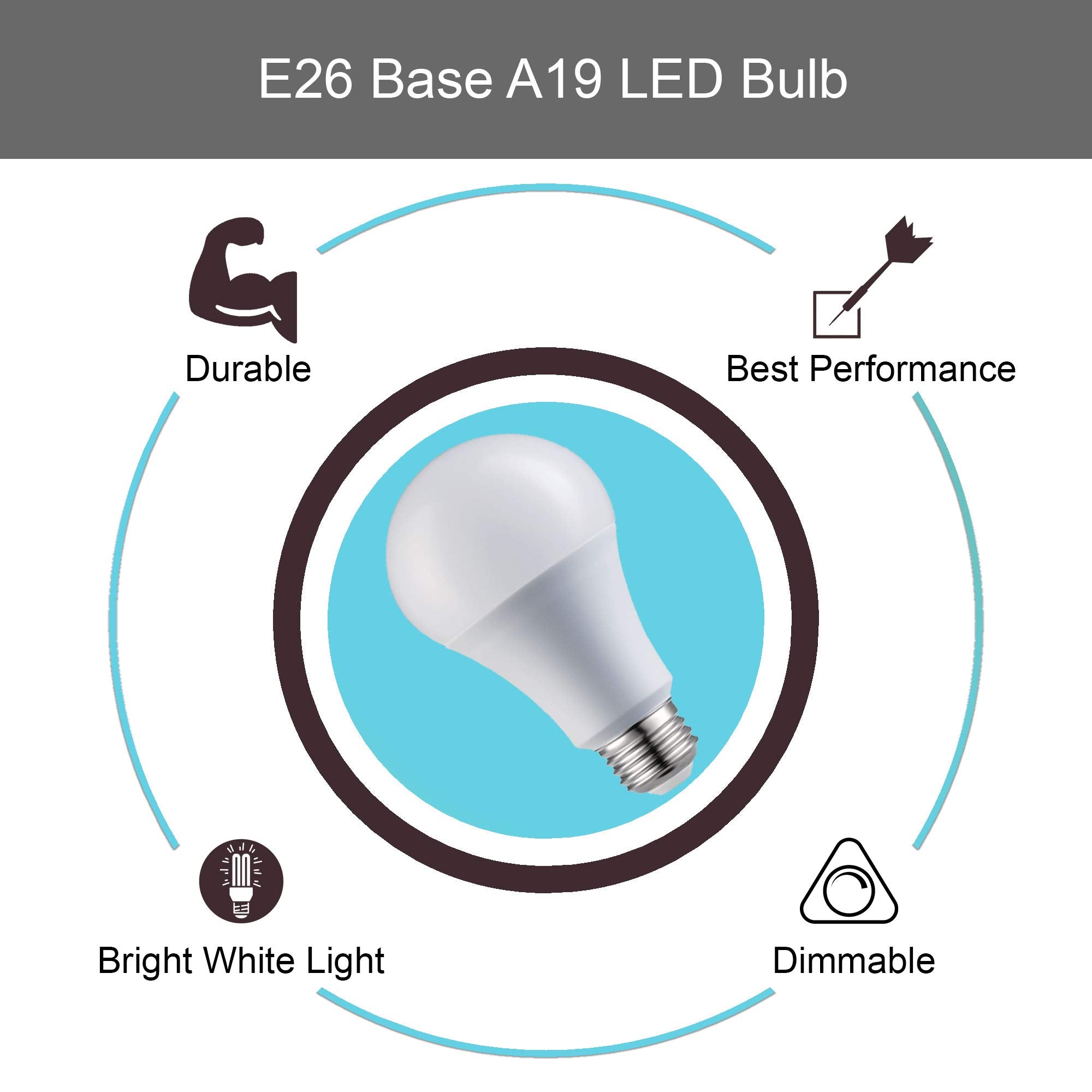 LABORATE LIGHTING A19 LED Bulbs - E26 Base, 75W, 1100 Lumens, Dimmable, 4-Pack, Bright White 5000K, Copper