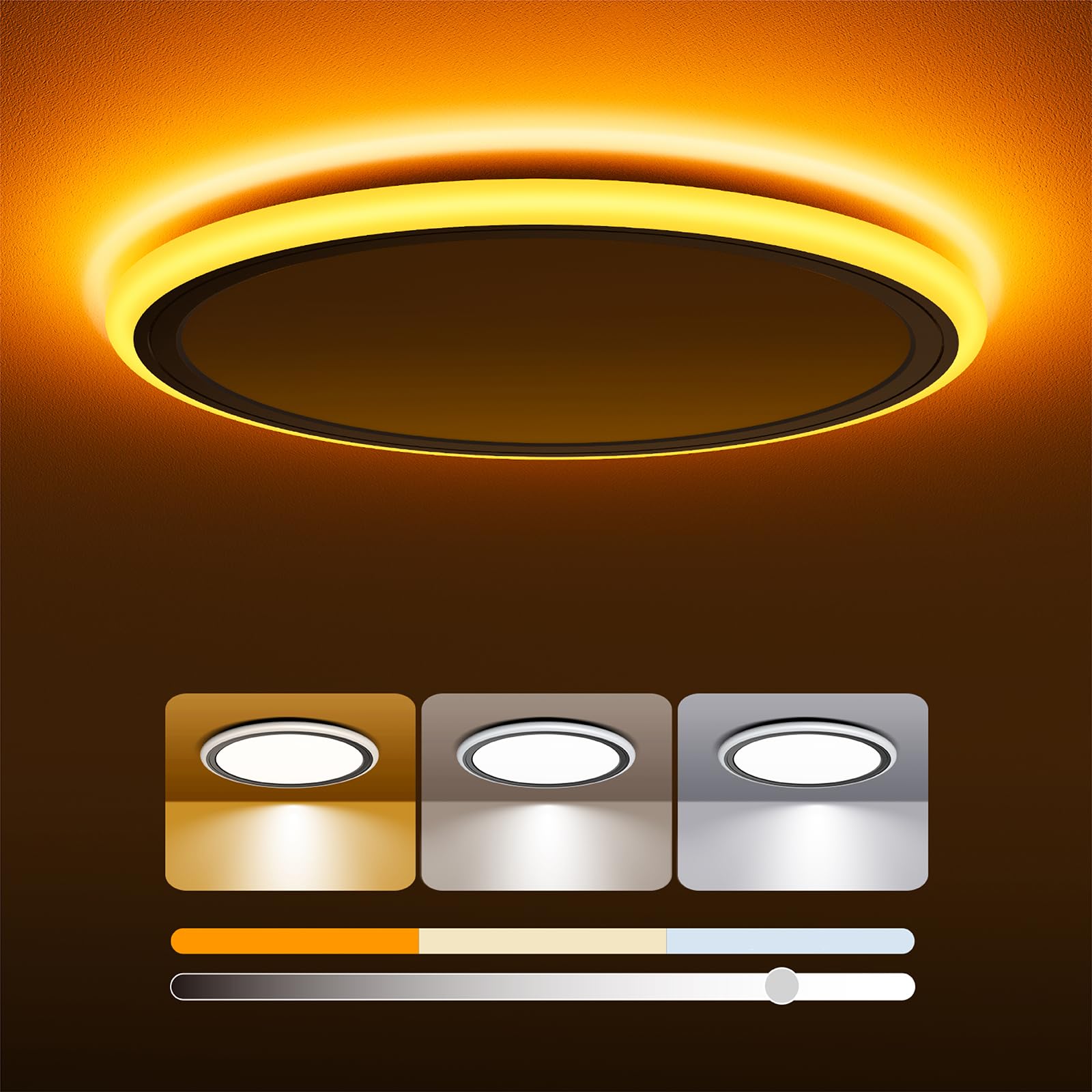 Blnan Dimmable Led Ceiling Light, 2000K Night Light, 13&quot; Round, Black, 3000K