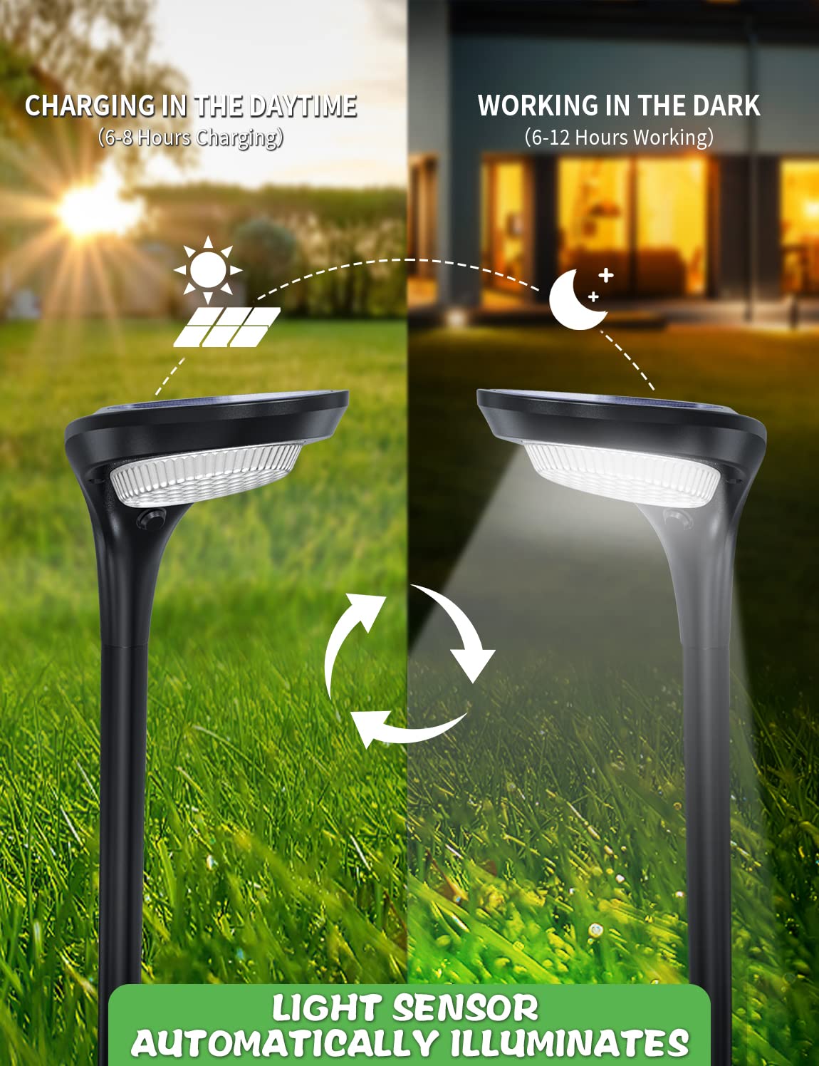 OSORD Solar Pathway Lights - 150 Lumen, 4 Pack, Cool White & Warm White, Waterproof, Model OS-Path-01