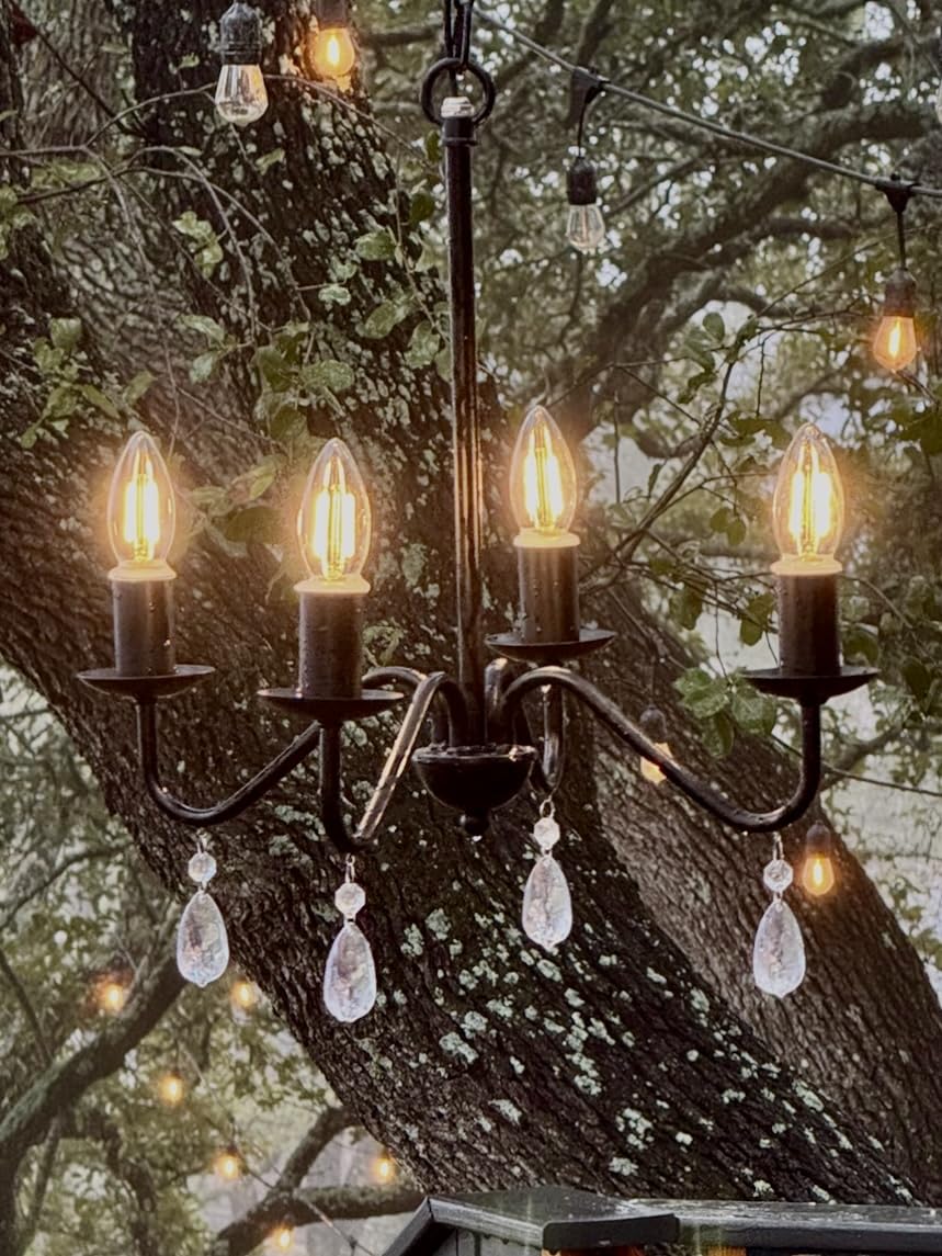 Brink House 4 Light Outdoor Plug-in Chandelier, Curved Black Stainless Steel, 15" H x 17" W, Low Voltage IP65 Water Resistant
