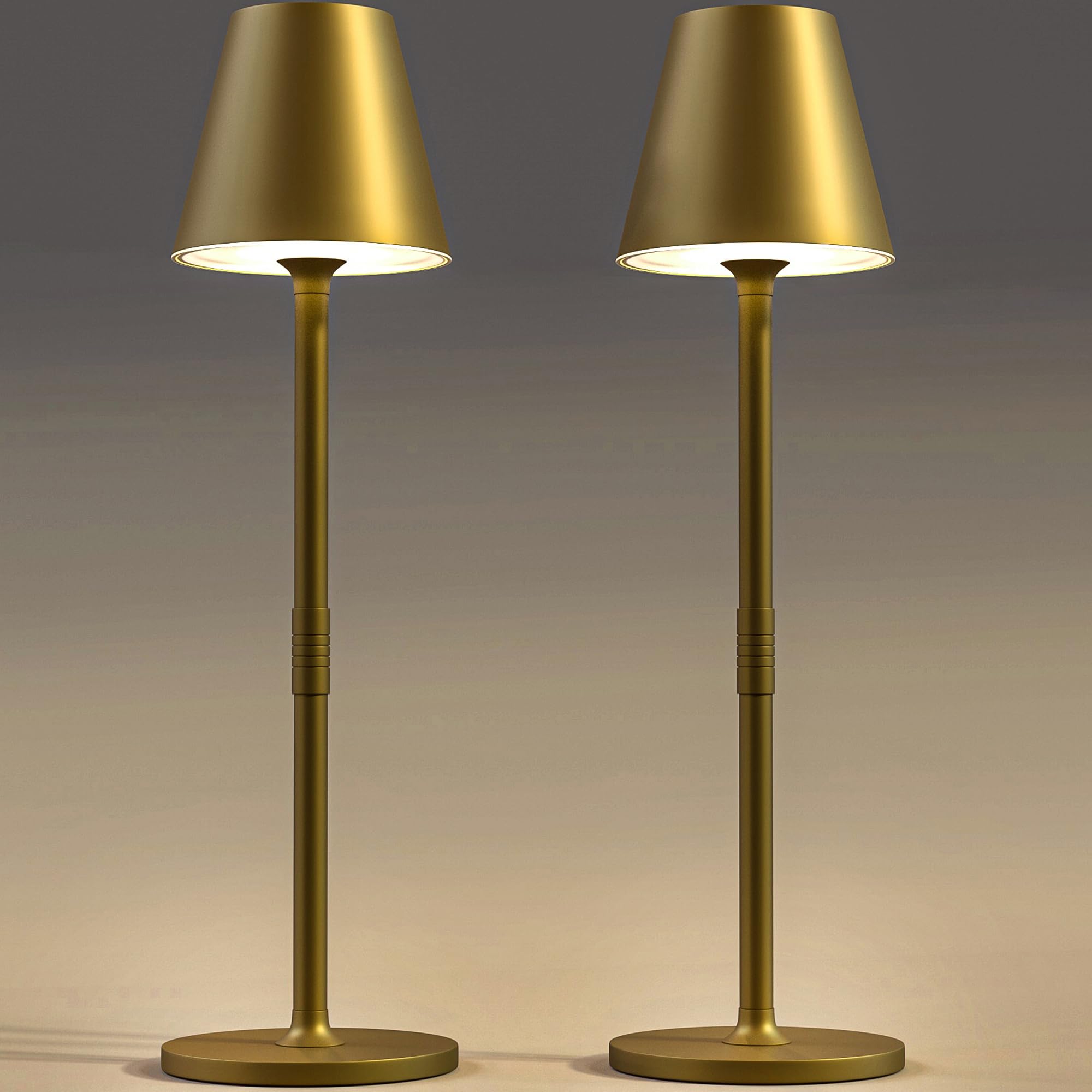 Timjorman LED Table Lamp, Rechargeable 4000mAh, 3 Brightness Levels, Metal, Bronze, 2 Pack