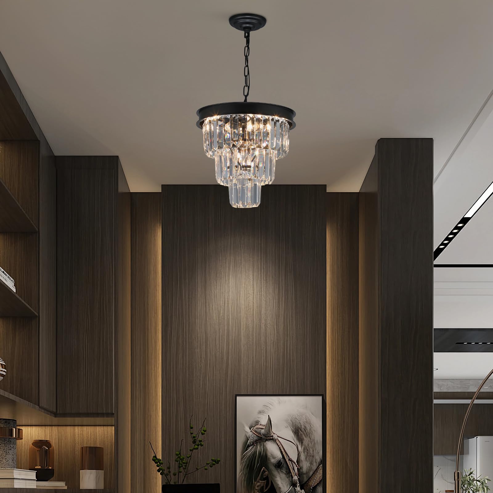 Weesalife 4-Light Black Crystal Chandelier, Modern Pendant Lighting for Dining Room, Kitchen Island, D12 Inch, Model A8828