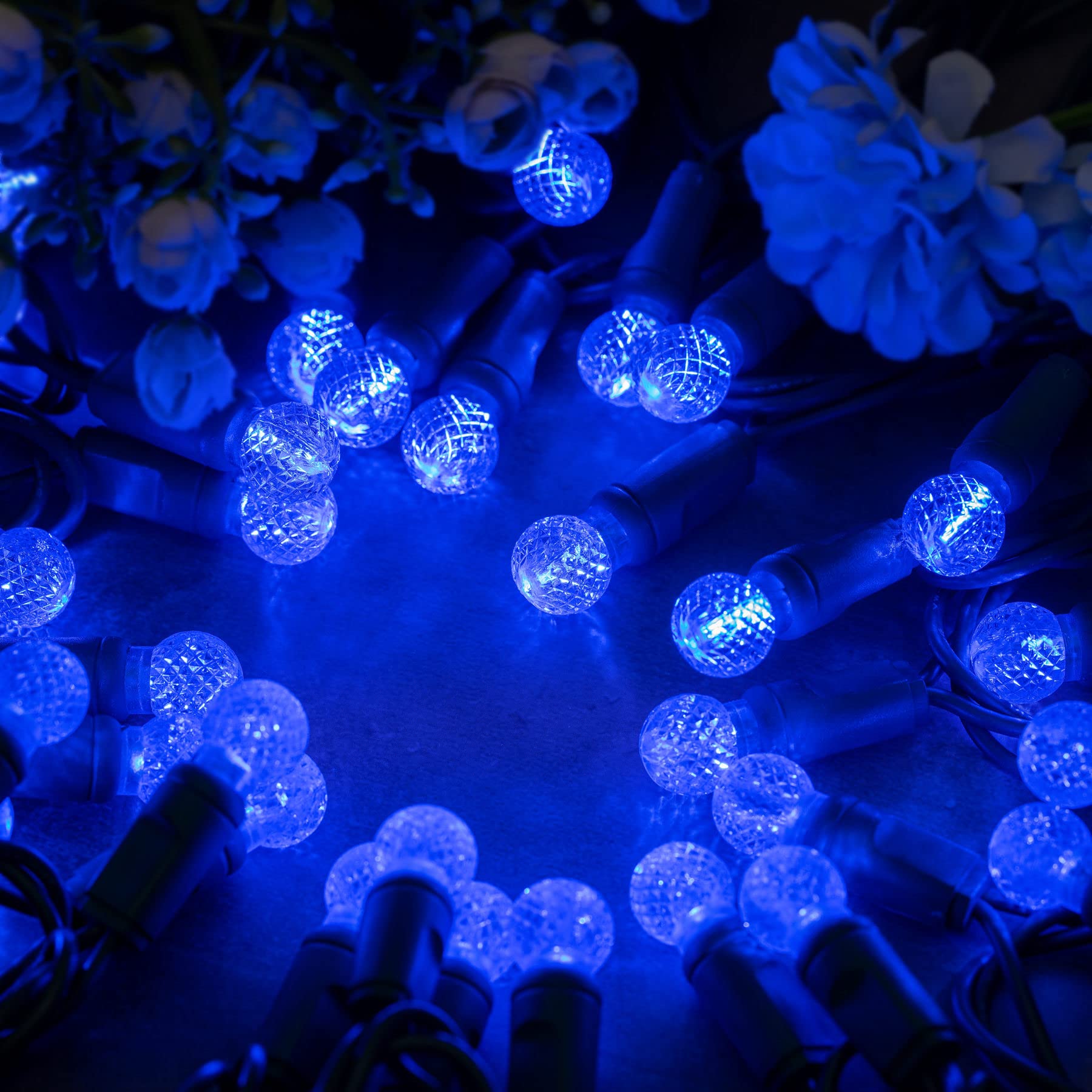 Yuletime Blue One-Piece G12 Led Christmas Lights, Total 48 Feet 140 Count 2 Strands 24Ft 70Ct Waterproof Raspberry String Light