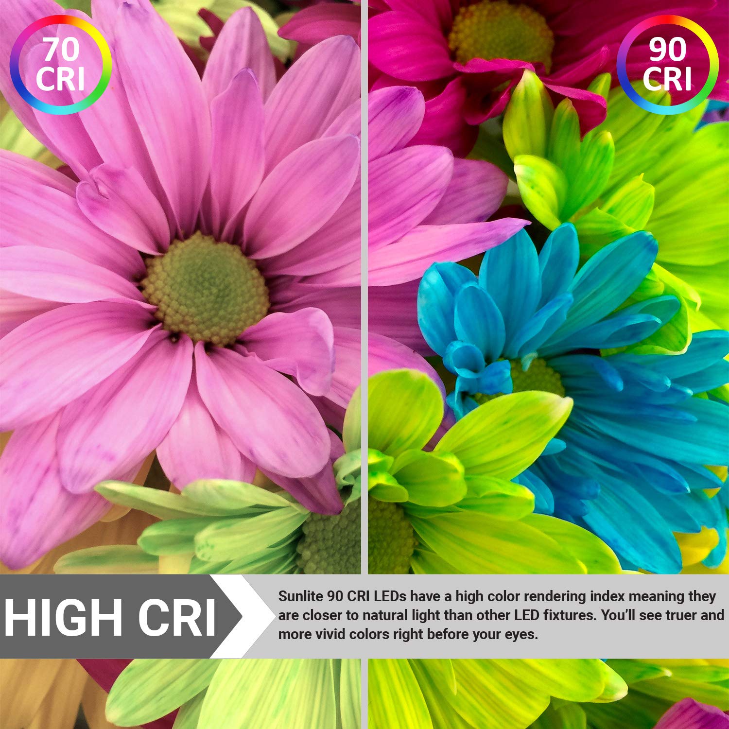 Sunlite 80474-Su Led S14 Filament Style Light Bulb, 4 Watt (25W Equivalent), 340 Lumens, 90 Cri, Medium Base (E26), Dimmable, Ul