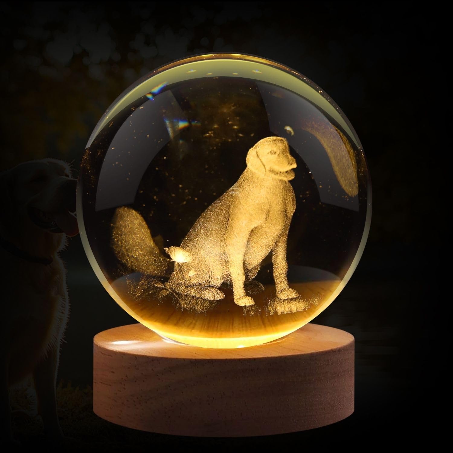 Flexzion 3D Dog Crystal Ball Night Light - Led Light Hologram Glass Lamp W/Solid Wood Base  Usb Powered Crystal Ball Lamp W/Adjustable Brightness For Home Decor Display Gift  3.15 Inch (80Mm)