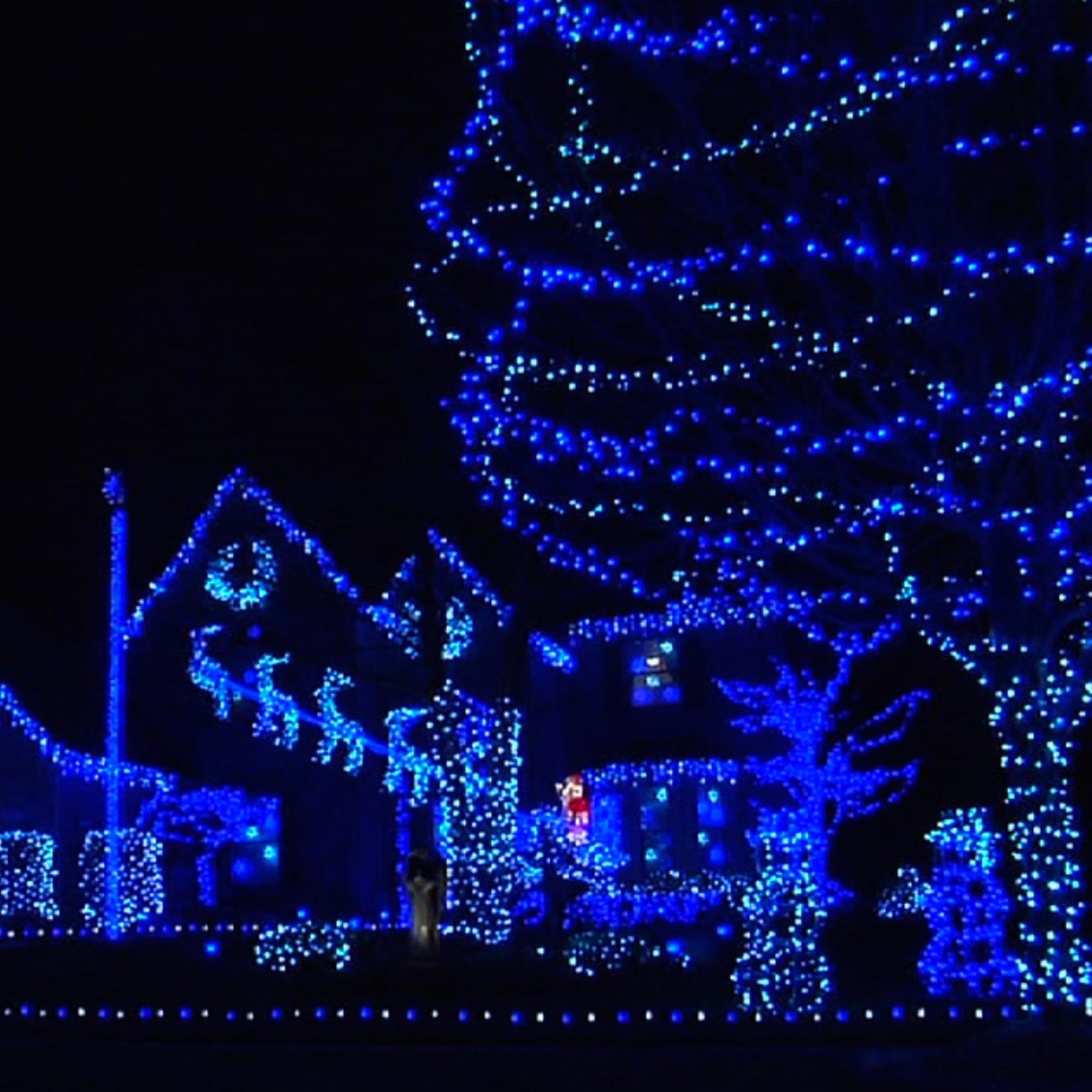 Dazzle Bright Outdoor Christmas String Lights, 1000 Led 328 Ft Plug In Fairy Light With Remote Control 8 Modes & Timer, Waterproof Decoration For Home Garden Yard Xmas Wedding, Blue