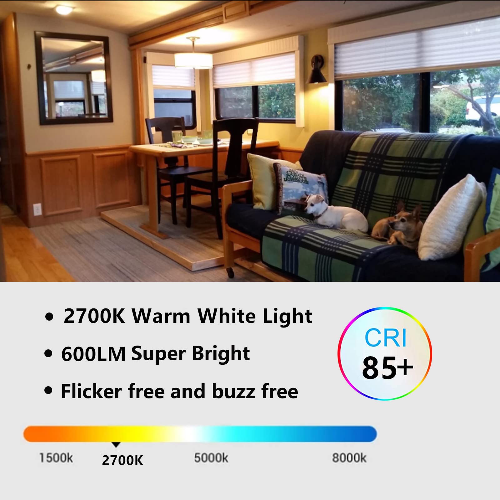 12V Edison Bulb 60 Watt Equivalent E26 Medium Base 12V Led Light Bulb, Ac/Dc 12V-36V 6W Warm White 2700K Vintage Low Voltage Bul