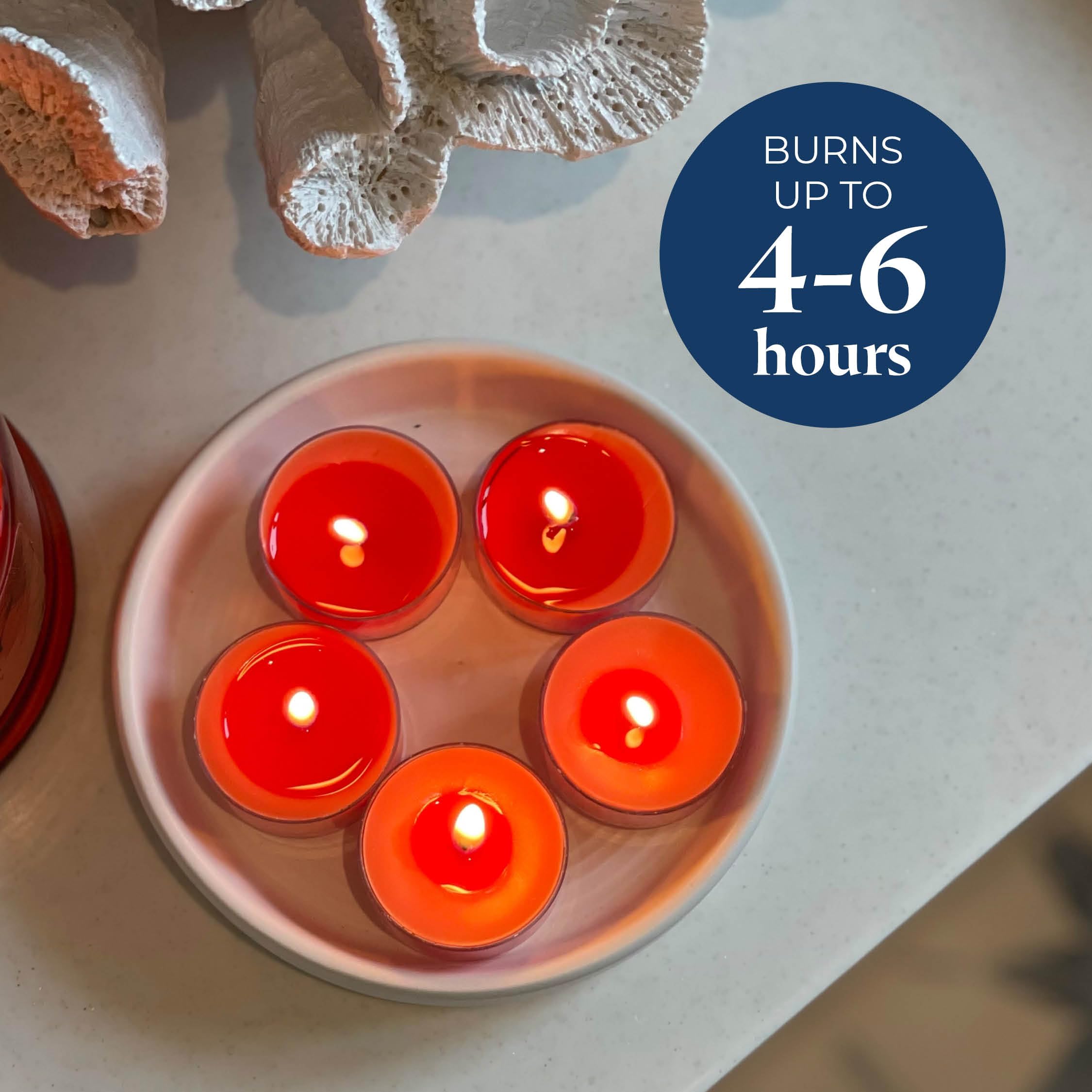 Partylite Set Of 12 Tea Lights Candles  G fruit & Rosemary Scent  Aromatherapy Scented Candles Gift Set  Up To 4 To 6 Hours Burn Time