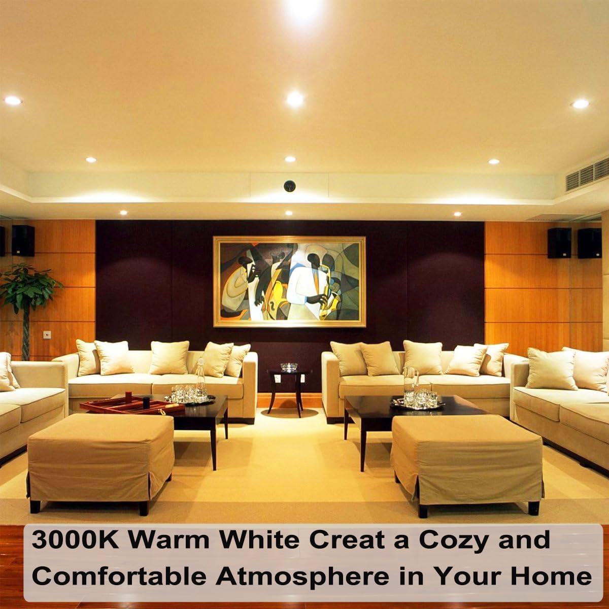 Vinaco PAR20 50W Halogen Floodlight Bulb 2-Pack, Warm White 3000K, Dimmable, Glass, Ideal for Track & Recessed Lighting