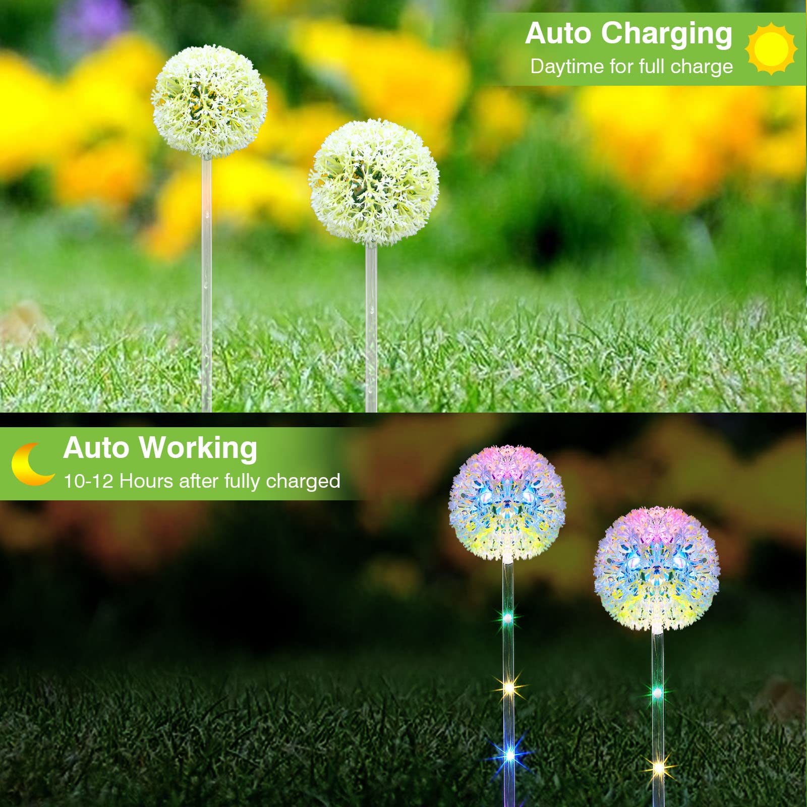 Bonlion 4 Pack Solar Garden Lights - Colorful Led Dandelion Decor, Waterproof Outdoor Lighting