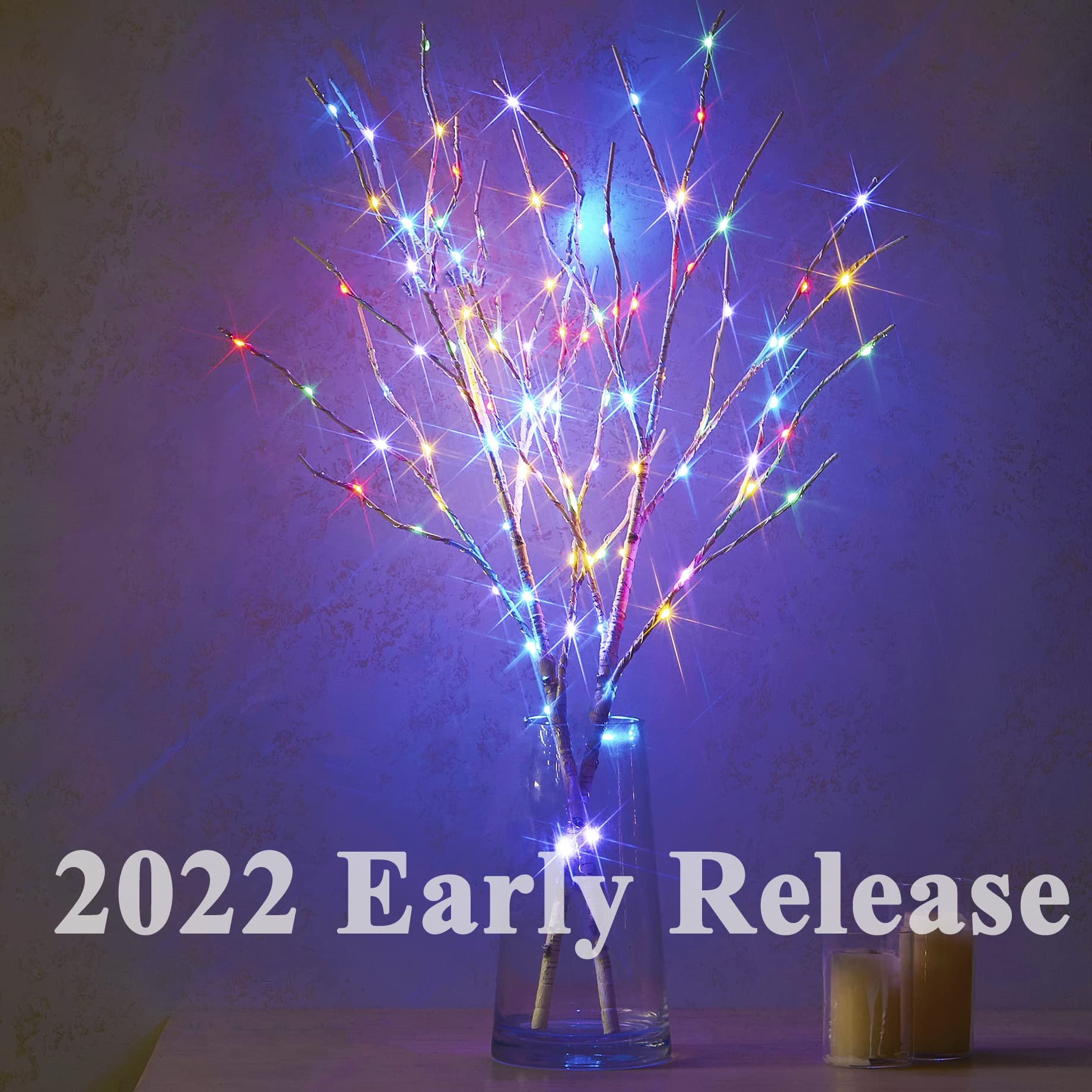 Hairui Lighted Birch Branches Battery Operated With 8 Functions 100 Multi Color And Warm White Lights, Pre Lit Twig Branches For Easter Christmas Party Room Decoration