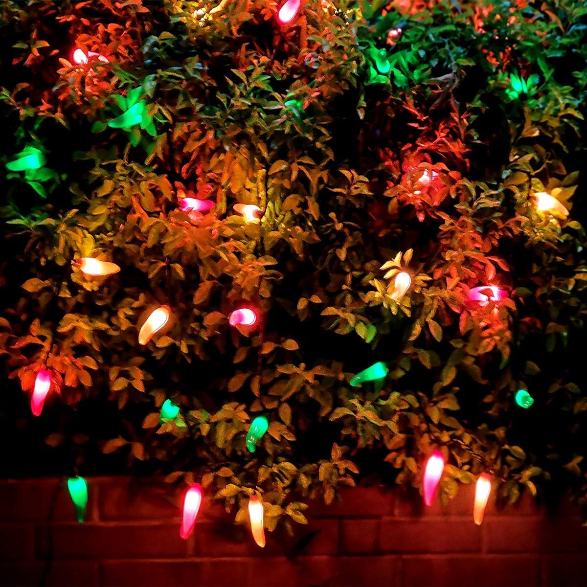 JinBest 35 LED Chili Pepper String Lights, 18 Ft Green Wire, Red Green Yellow, Indoor Outdoor Decorative Lighting, Model LL3506C