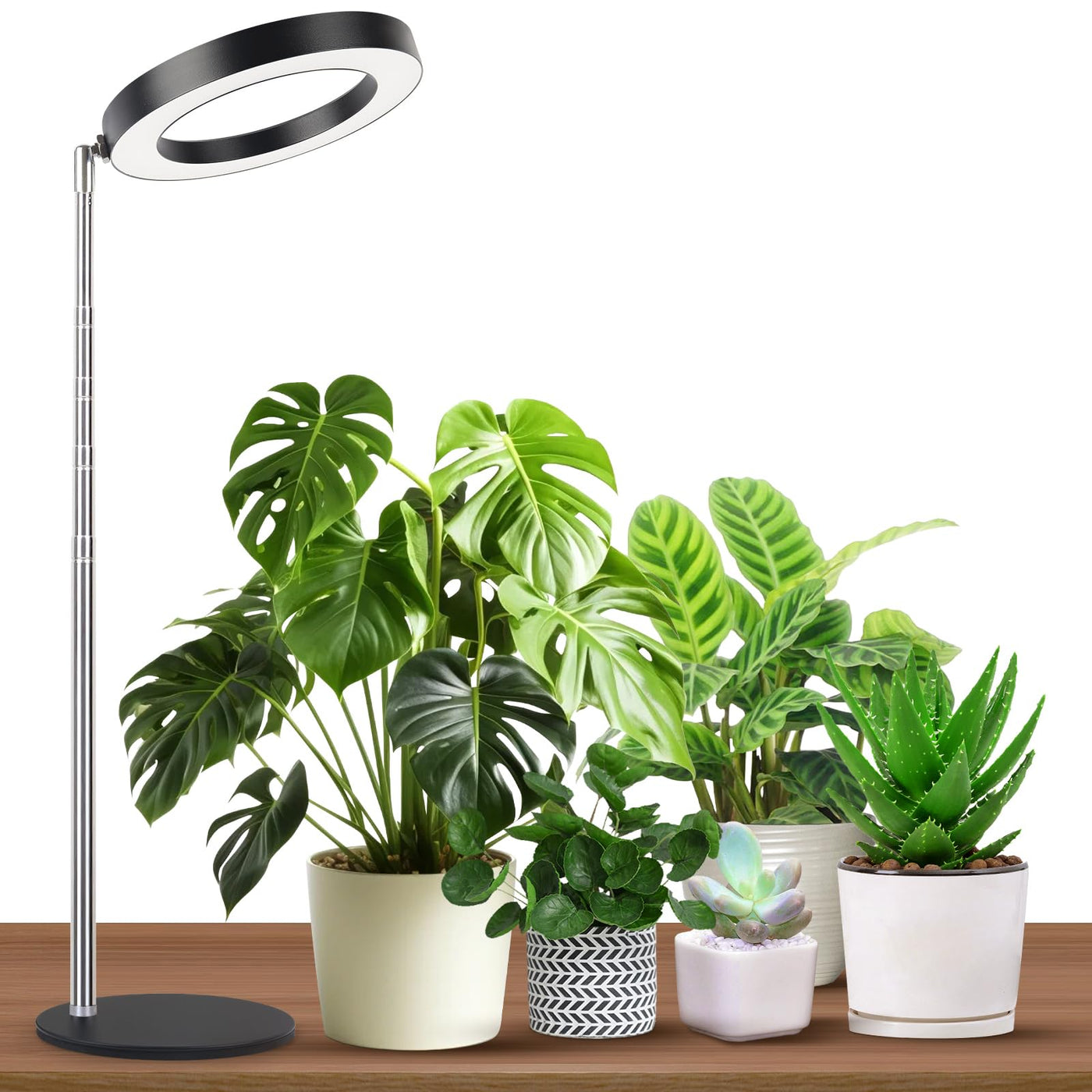 desktop grow light indoor plants GTRUIIDY Height Adjustable Desktop Grow Light, Full Spectrum, Black, M – Lightsdaddy