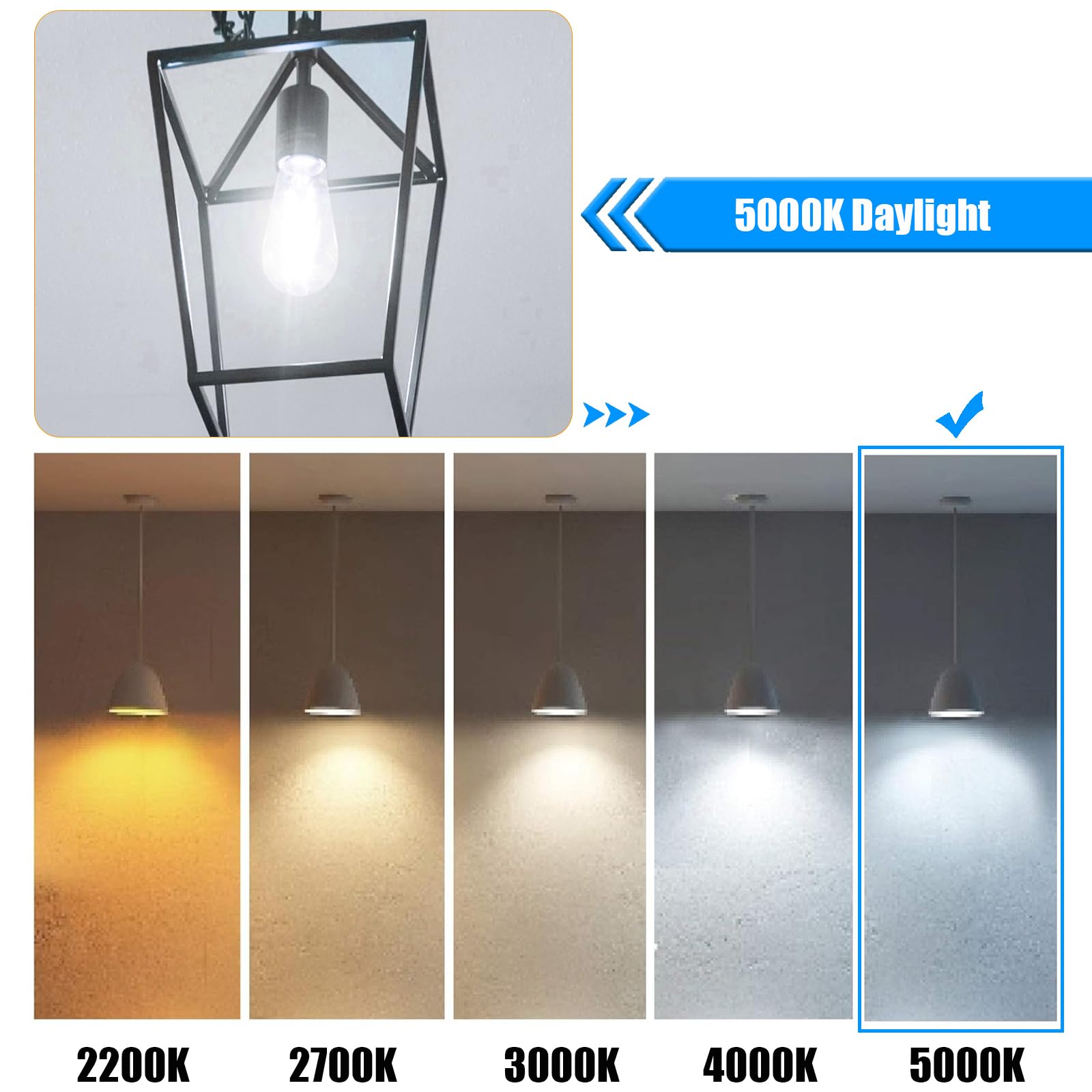 Winsaled 5000K Daylight Led Edison Bulbs 40W Equivalent, 4W St19 Led Light Bulb, E26 Standard Base, 90 Cri, Non-Dimmable, 12 Pac