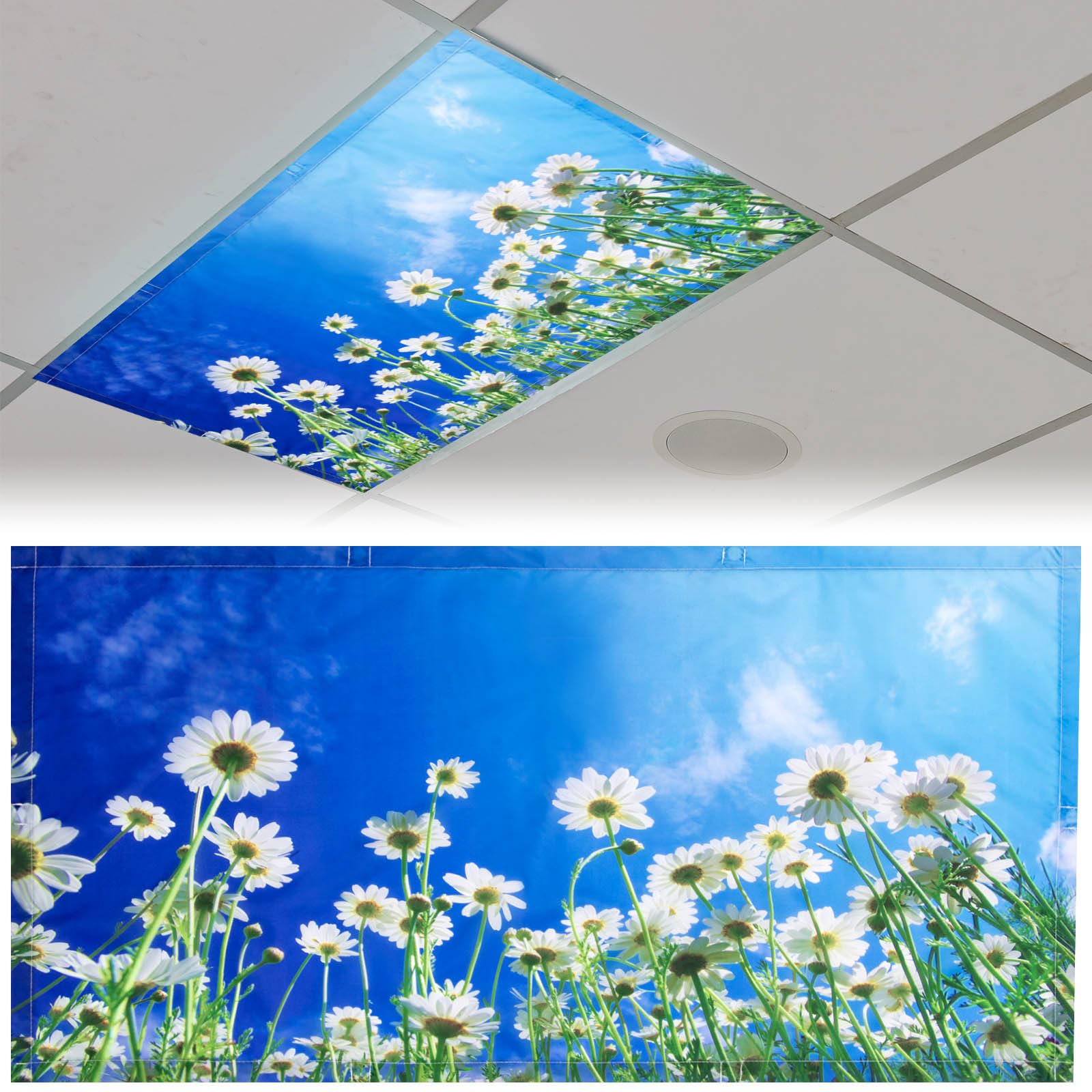 Patelai Fluorescent Light Cover Shade with 10 Magnets, 4x2 Feet, Chamomile, Model PT-Patelai-3151 for Classroom, Office, Home