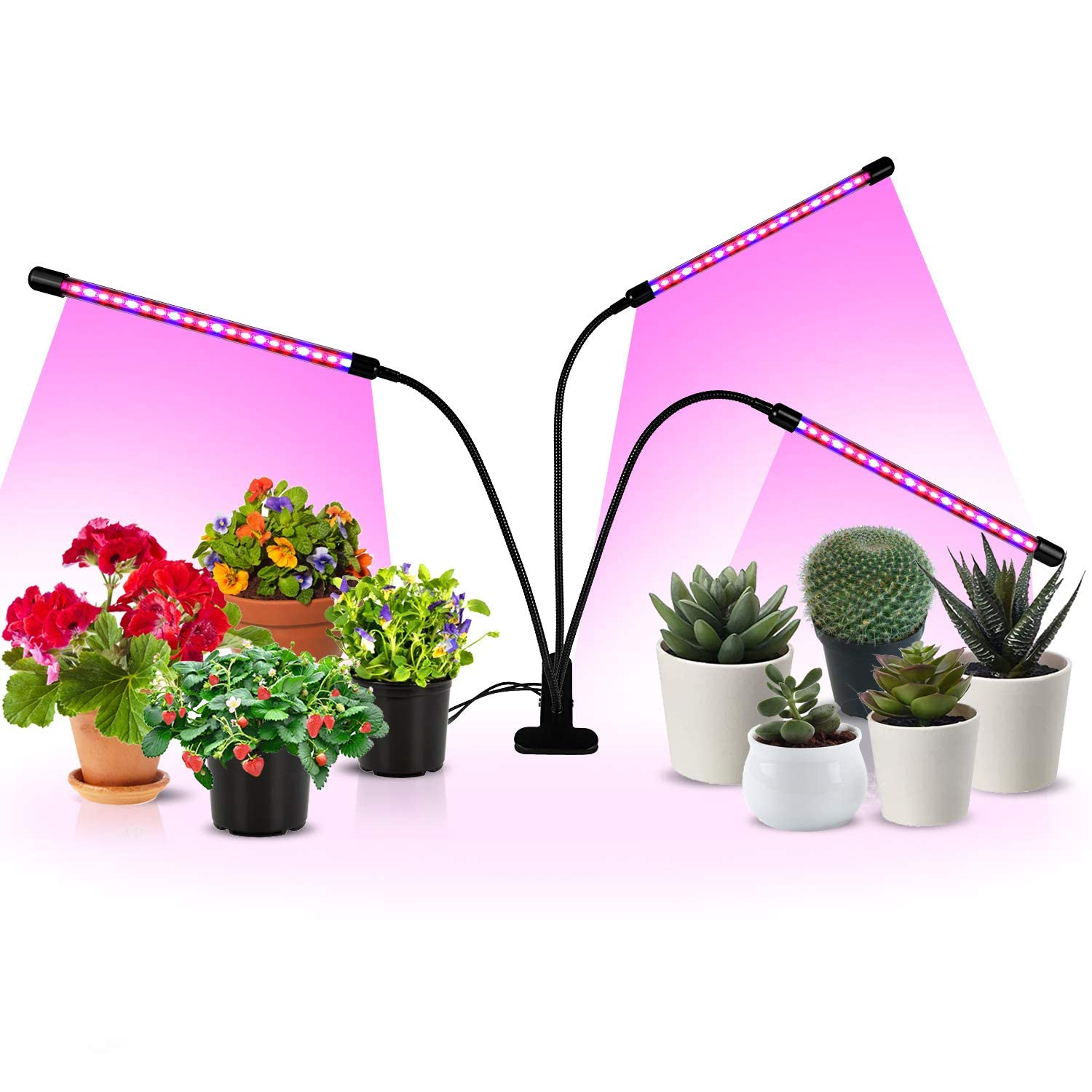 iPower 60 LED Grow Light, Full Spectrum, 3 Light Modes, 10 Dimmable Levels, Adjustable Gooseneck, Red & Blue, 3 Light Tubes