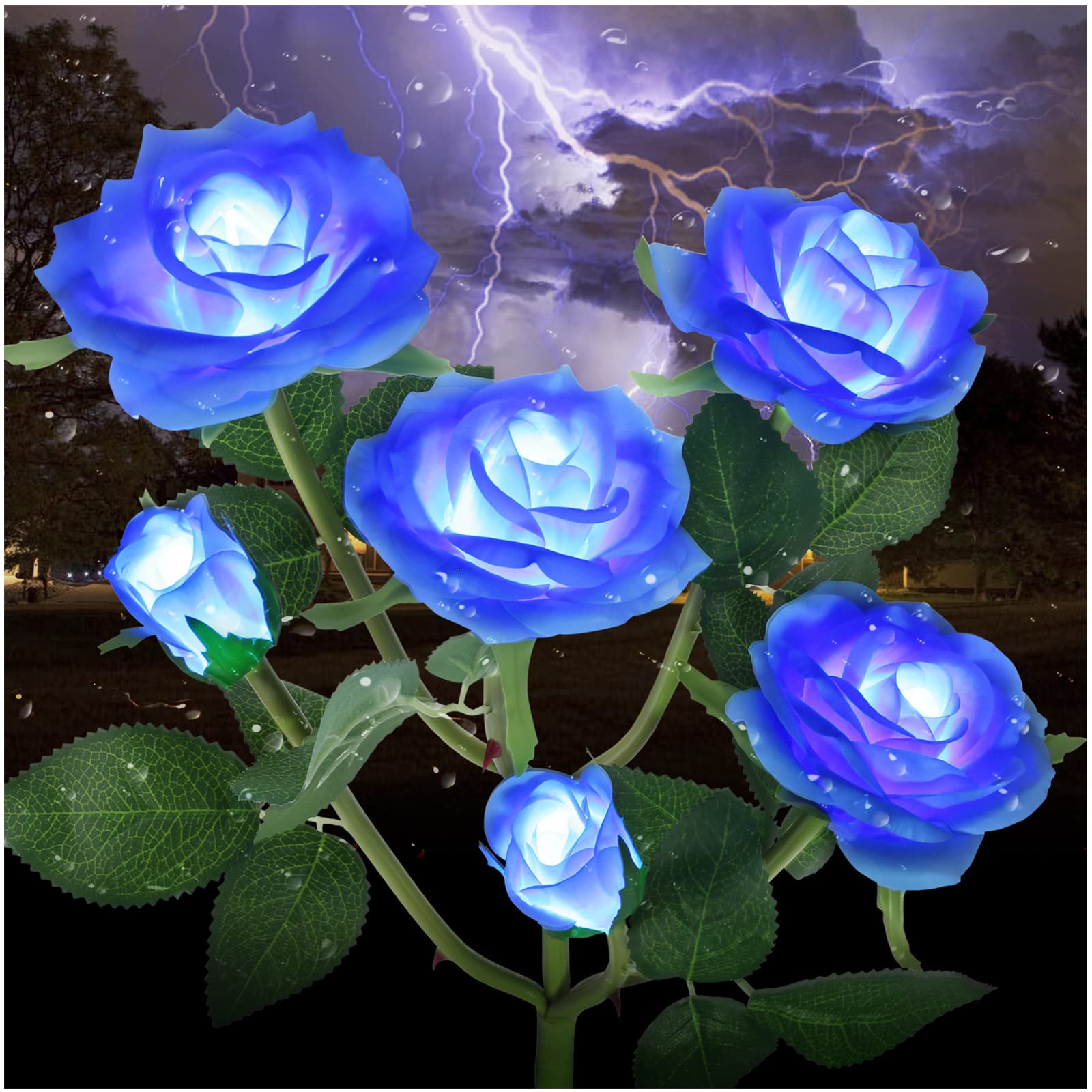 TYNLED Outdoor Solar Garden Stake Lights, 6 Rose Flowers, Waterproof, 1 Pack, Blue