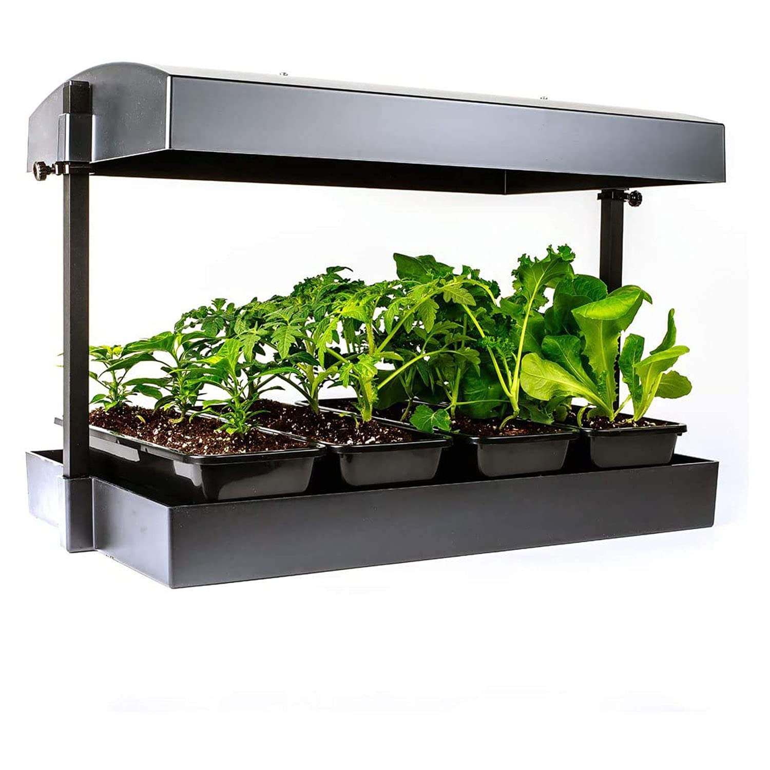 Sunblaster Sl1600220 Growlight Garden-T5 Bulbs Included, 1 Count (Pack Of 1), Black