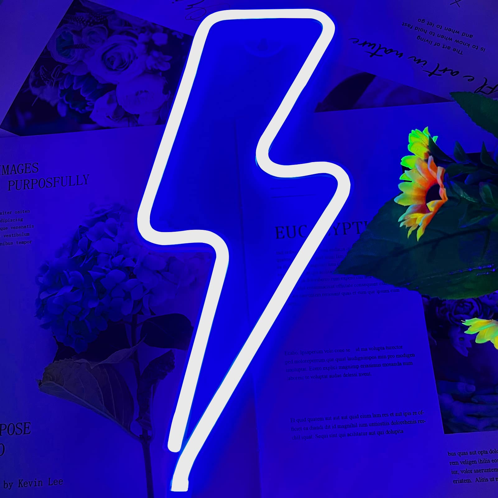 BerniceKelly Neon Lightning Bolt Sign, USB/Battery Powered, Blue, Model 445LXX-NHD2202171, Wall Decor for Bedroom and Kids Rooms