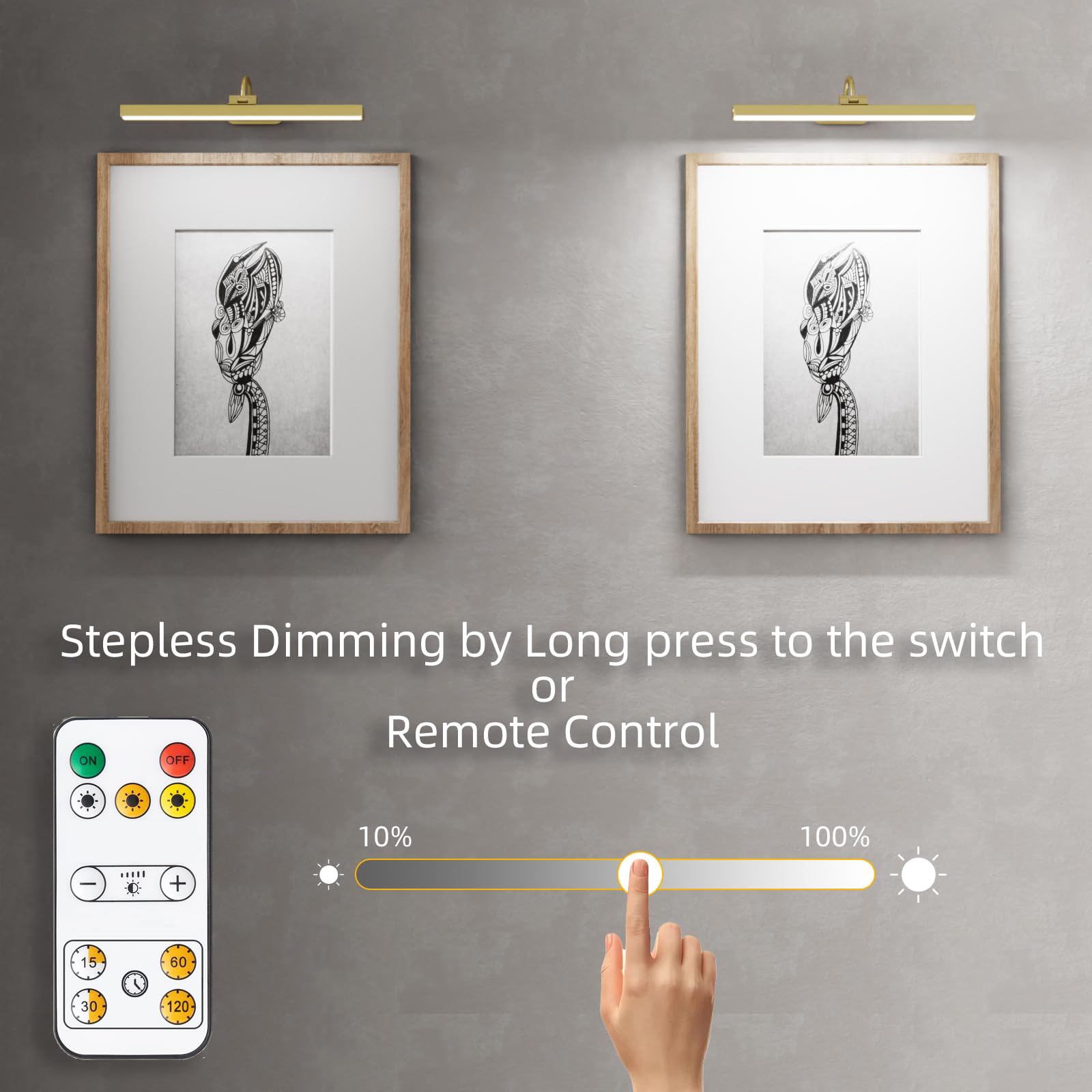 Battery Operated Picture Light, Art Display Light With Timer Stepless Dimming, Suitable For Large Wall Photo Frames, Portraits,