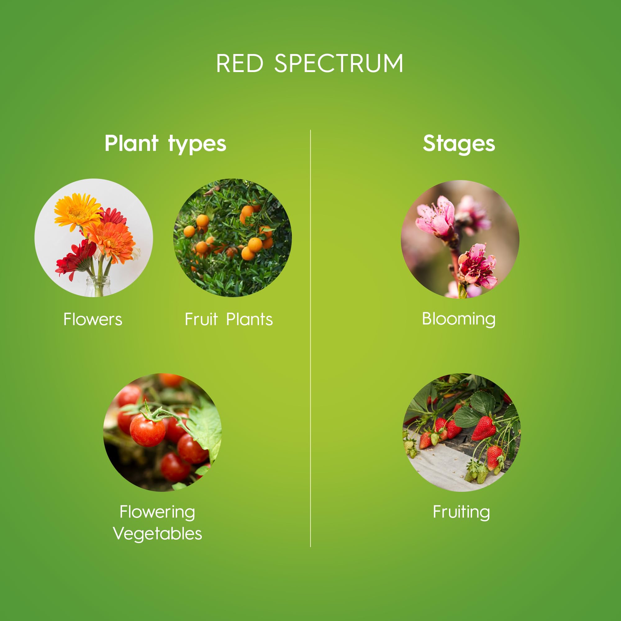 GE Grow LED Light Bulb for Plants - PAR38 Outdoor Floodlight, 1 Bulb, Red Light Spectrum, Plastic, Flowers & Fruit