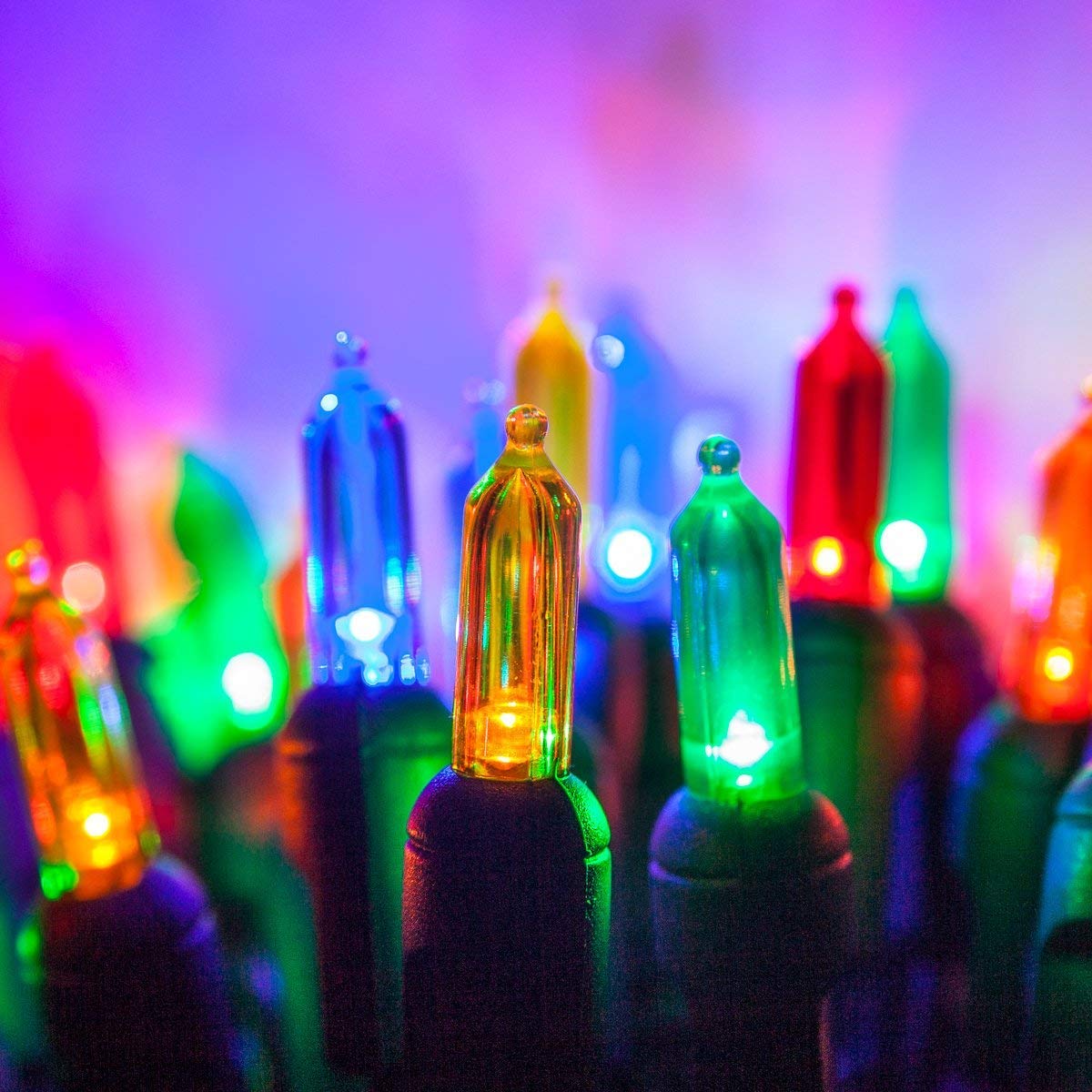 Wintergreen Lighting 50 T5 Christmas Tree Lights, 25.5 ft, Multicolor LED Indoor-Outdoor String Lights, Model IOS-2-50