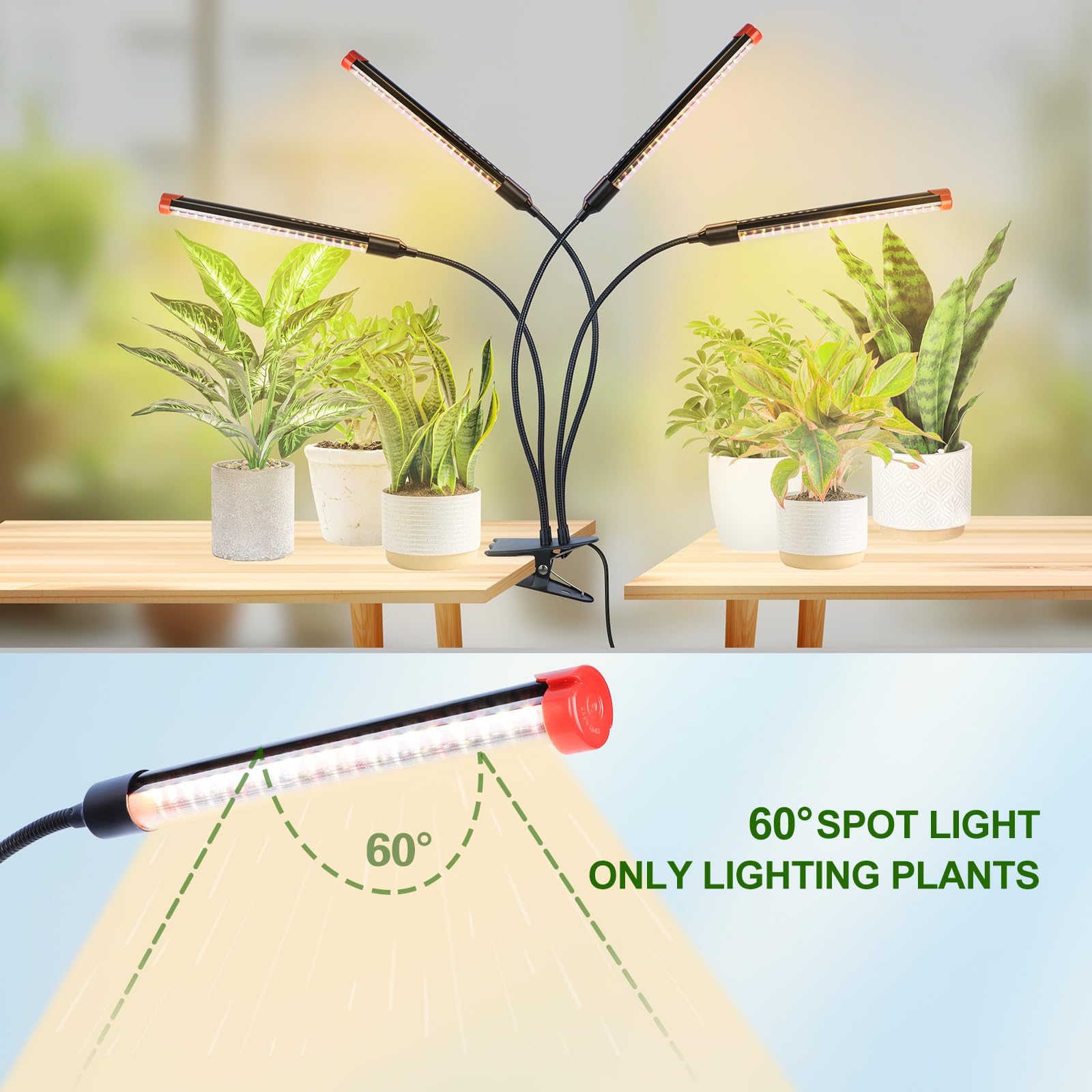 GroCruiser 4-Head Grow Lights for Indoor Plants, 36W, Black, Timer, Aluminum, Ideal for Succulents and Cacti