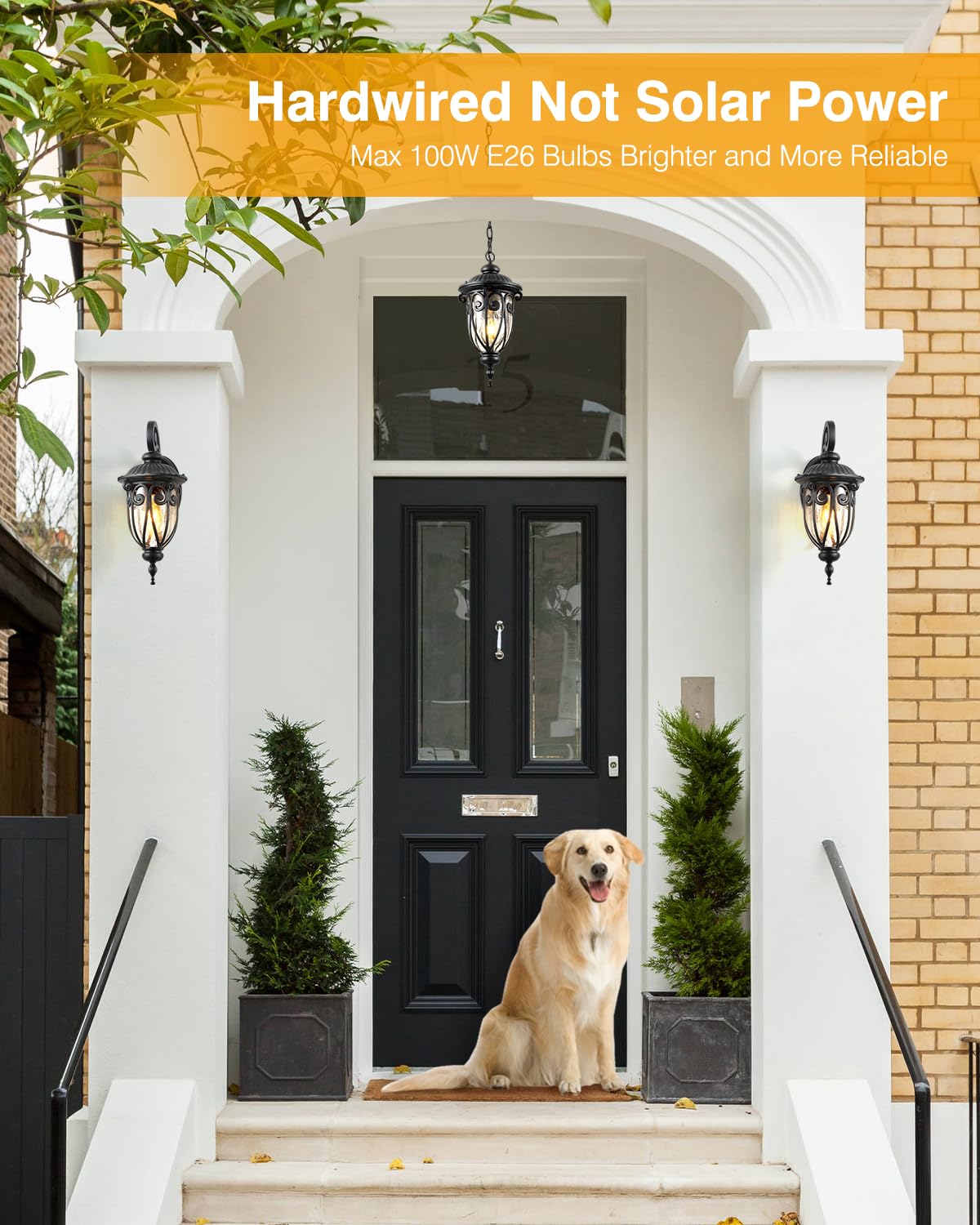 Vianis Outdoor Lights For House Dusk To Dawn  Black Porch Lights Waterproof Outdoor Light Fixture With Seed Glass  Exterior Lighting Fixtures For House  Doorway  Porch Garage