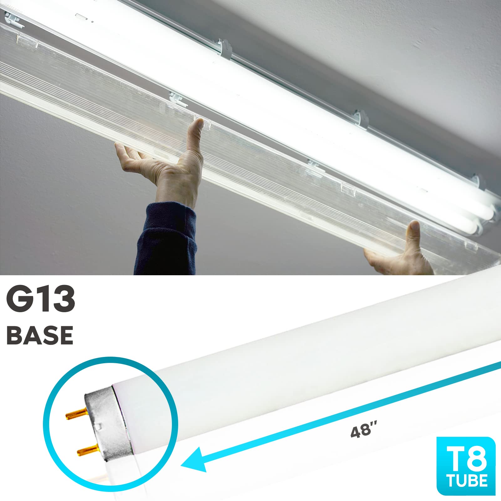 Luxrite F32T8/841 32W 48 Inch T8 Fluorescent Tube Light Bulb, 4100K Cool White, 2800 Lumens, G13 Medium Bi-Pin Base, Lr20732, 12