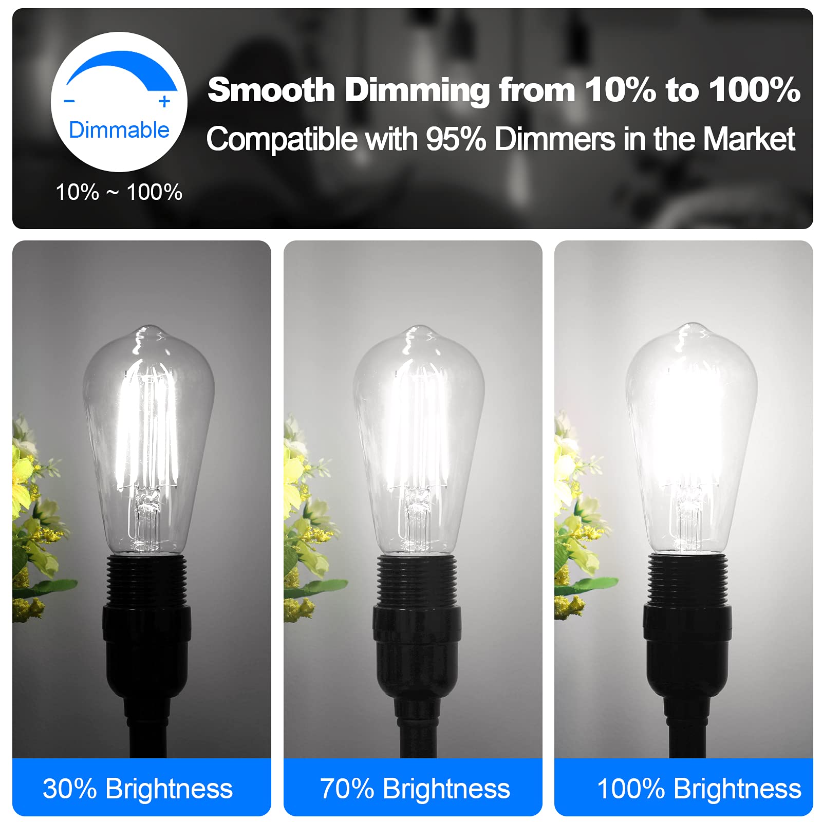 Sucolite Vintage Led Edison Bulbs 60W Equivalent Dimmable 7W, Daylight White, 12 Pack