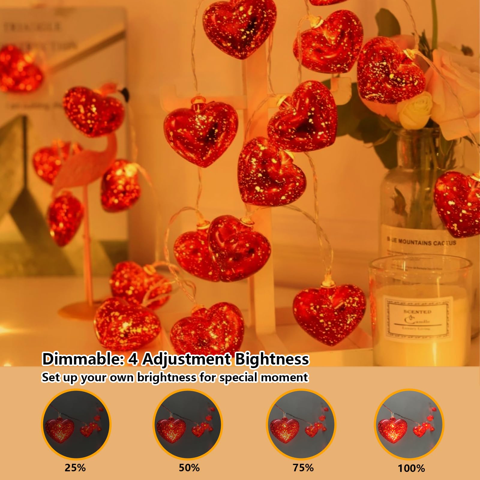 Valentine Heart Lights 6.8Ft 10 LED Valentines Day Lights with Remote Timer, Battery Powered Heart String Lights Indoor Valentin