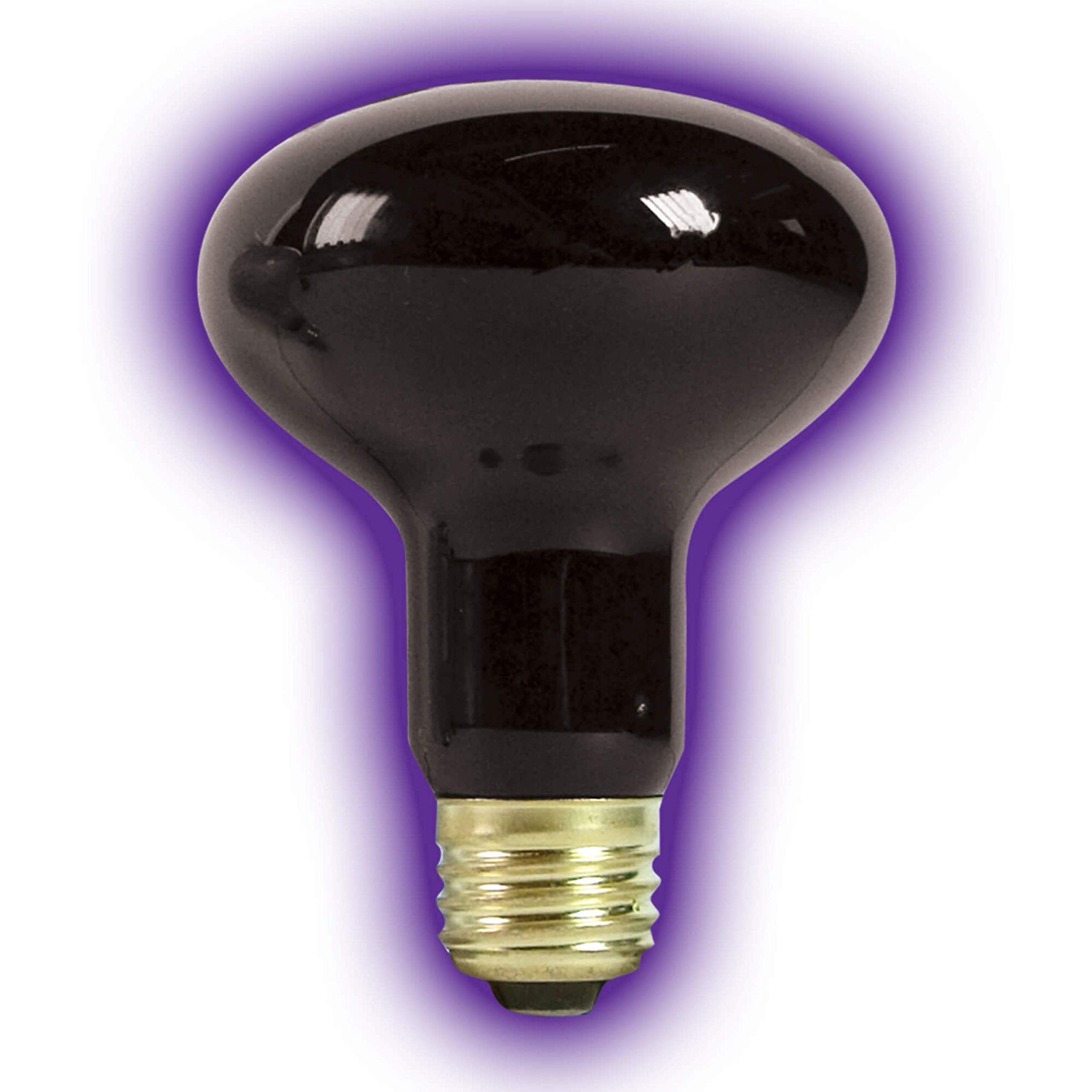 Zilla Incandescent Spot Bulb For Nocturnal Reptiles - Night Black, 1 Count