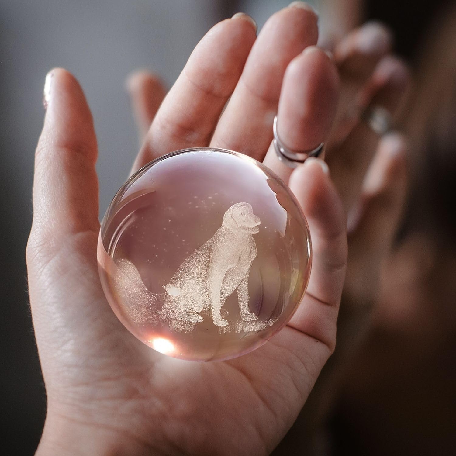 Flexzion 3D Dog Crystal Ball Night Light - Led Light Hologram Glass Lamp W/Solid Wood Base  Usb Powered Crystal Ball Lamp W/Adjustable Brightness For Home Decor Display Gift  3.15 Inch (80Mm)