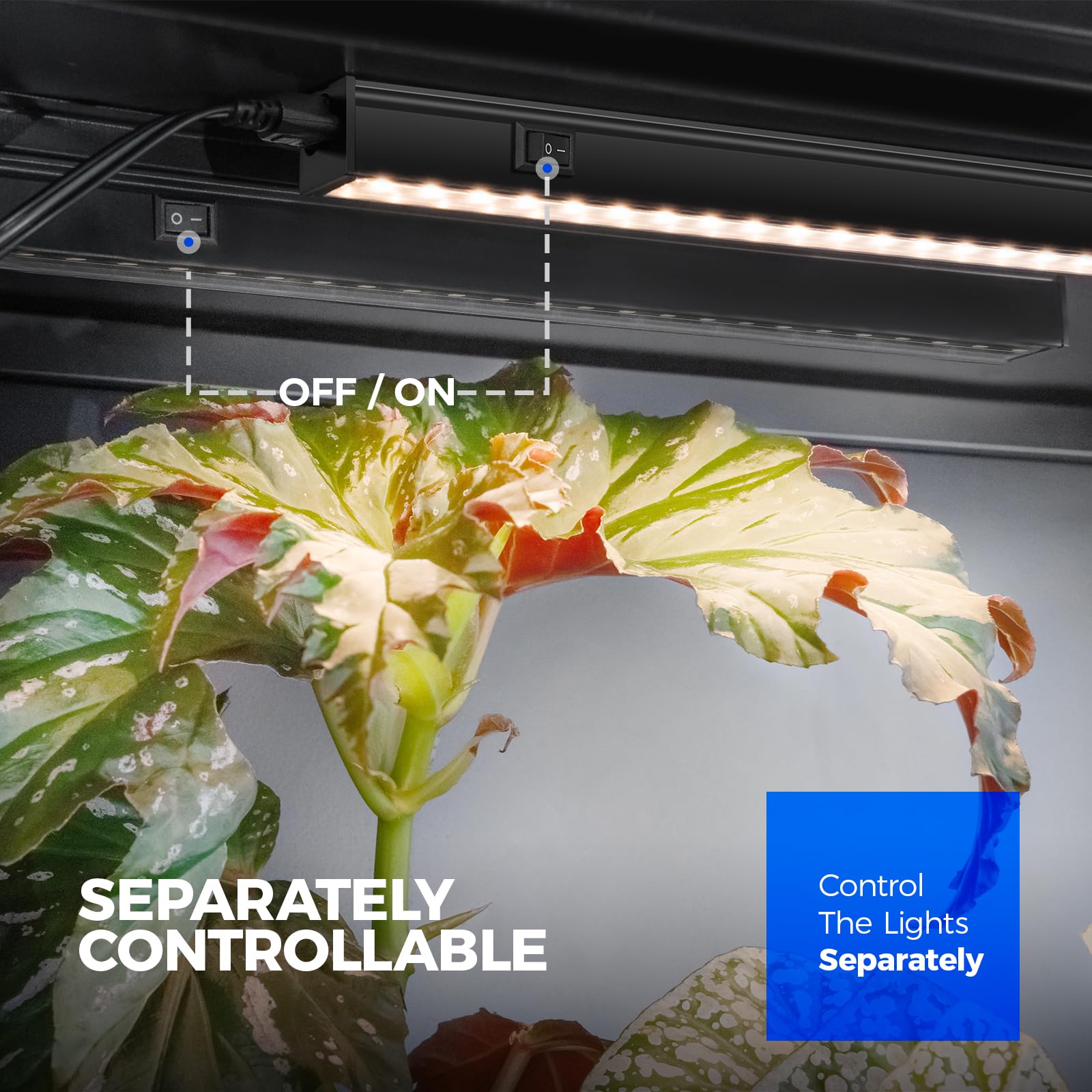 Barrina T5 Grow Lights For Indoor Plants Full Spectrum, 1Ft 10W (2 X 5W) Indoor Plant Light With Separate Switch, Linkable, Grow