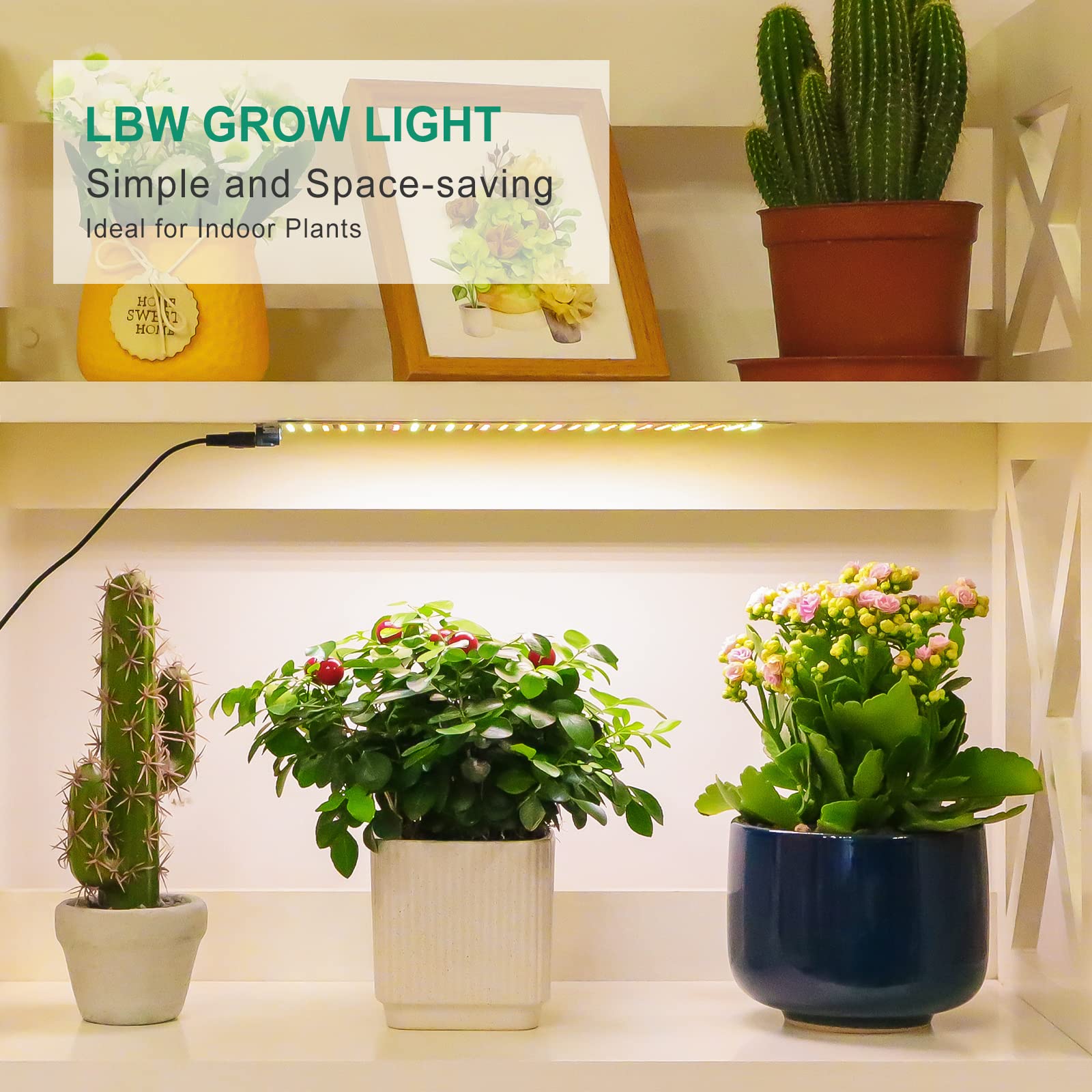 LBW Full Spectrum Grow Light Panel, 270 LEDs, 2-Pack, Auto Timer, 3 Modes, Aluminum, Ideal for Indoor Plant Growth