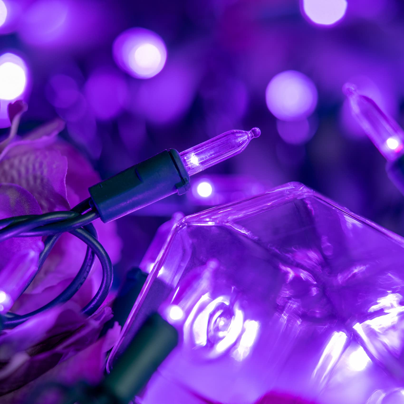 YULETIME 200 Count Purple LED Christmas Lights, 66ft Green Wire, UL Certified, Model BMD-L-200E/4F