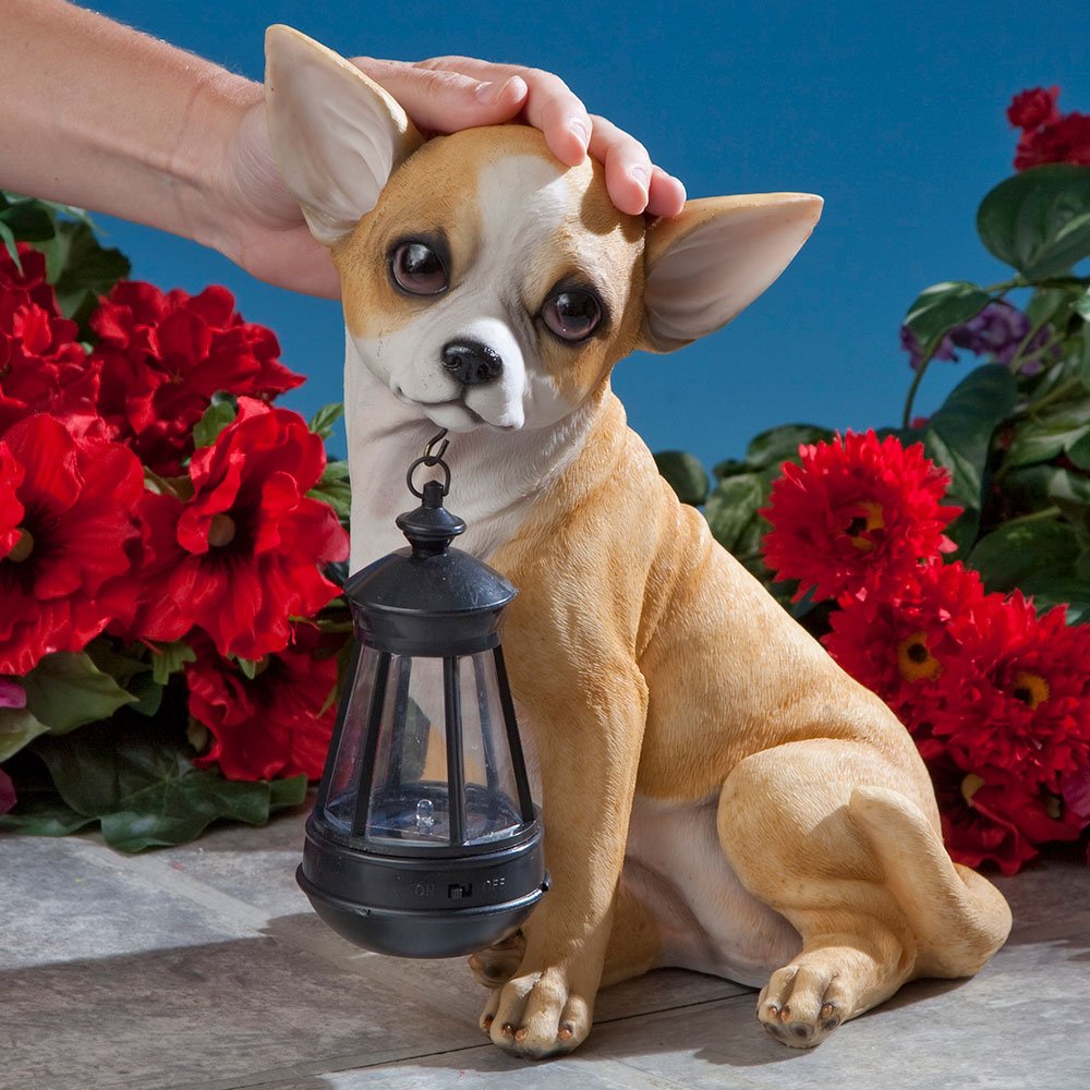 Bits and Pieces Chihuahua Solar Lantern Statue, Polyresin, LED Light, Outdoor Décor, White/Brown, Model 41121