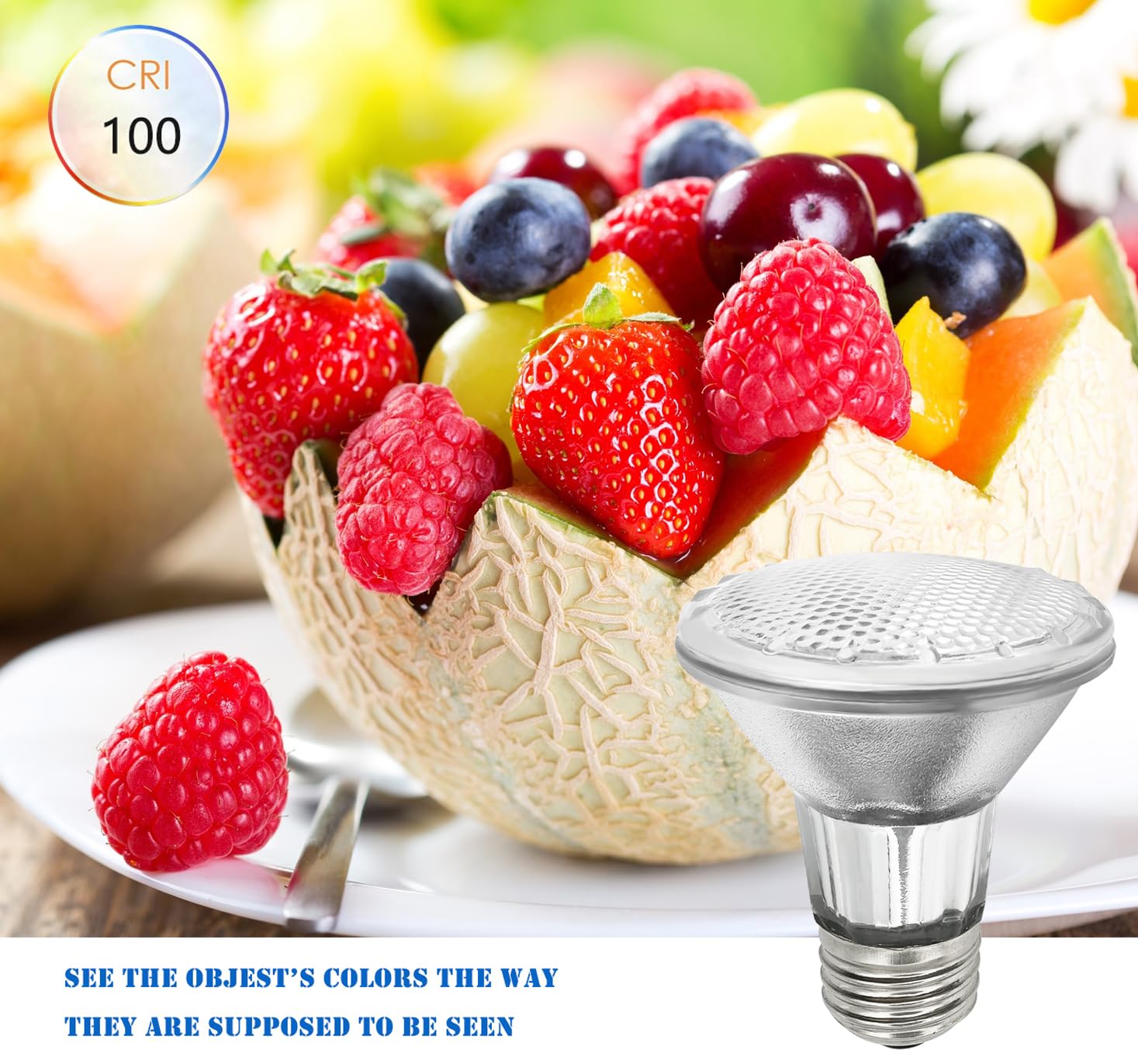 BOGAO Par20 Light Bulbs - 6 Pcs 120V 50W E26 Warm White Glass Reflector Flood Lights Replacement for Range Hood