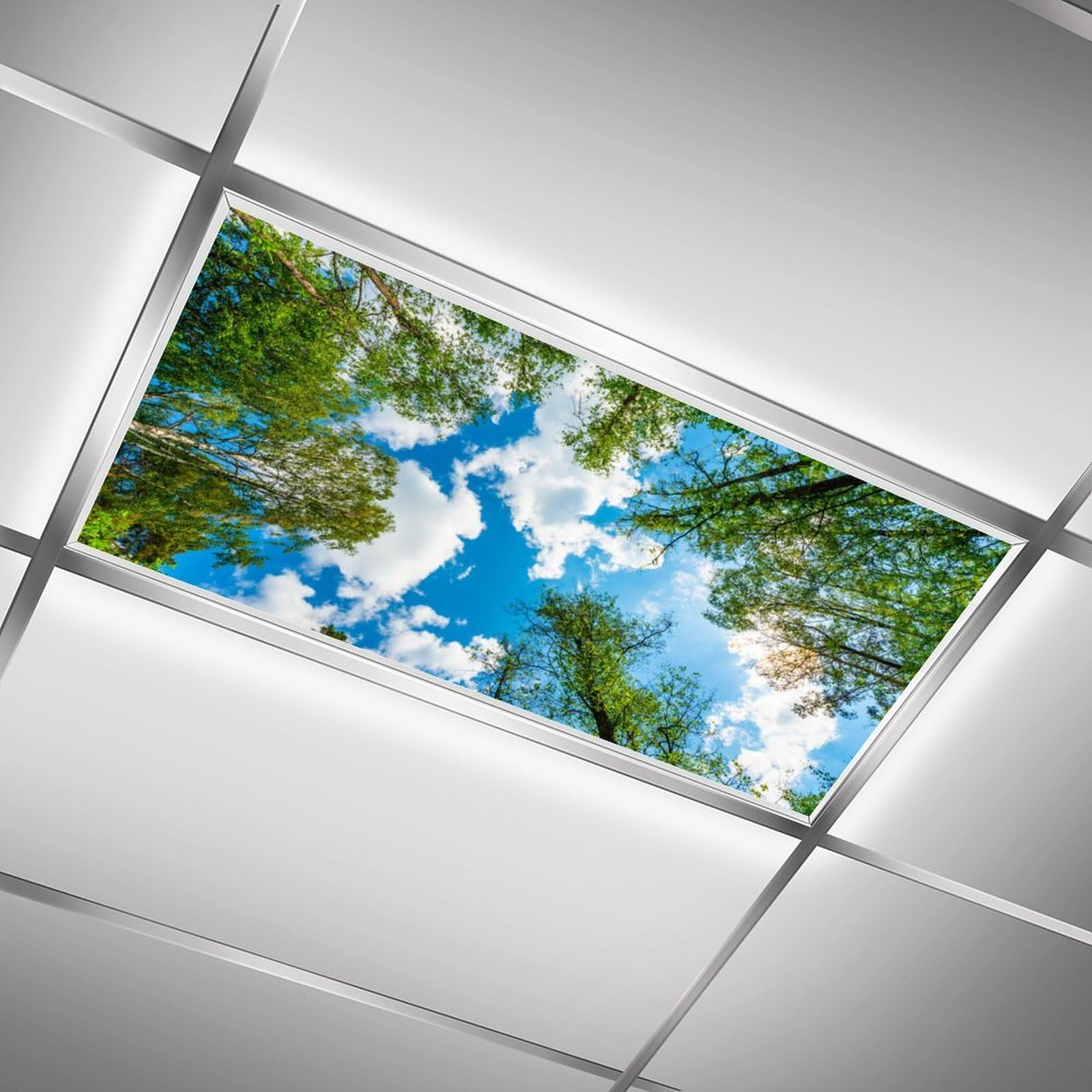 RoseFace Fluorescent Light Covers, Magnetic Filters for Classroom & Office, 4x2 Feet, Tree Color, Model 2024040202