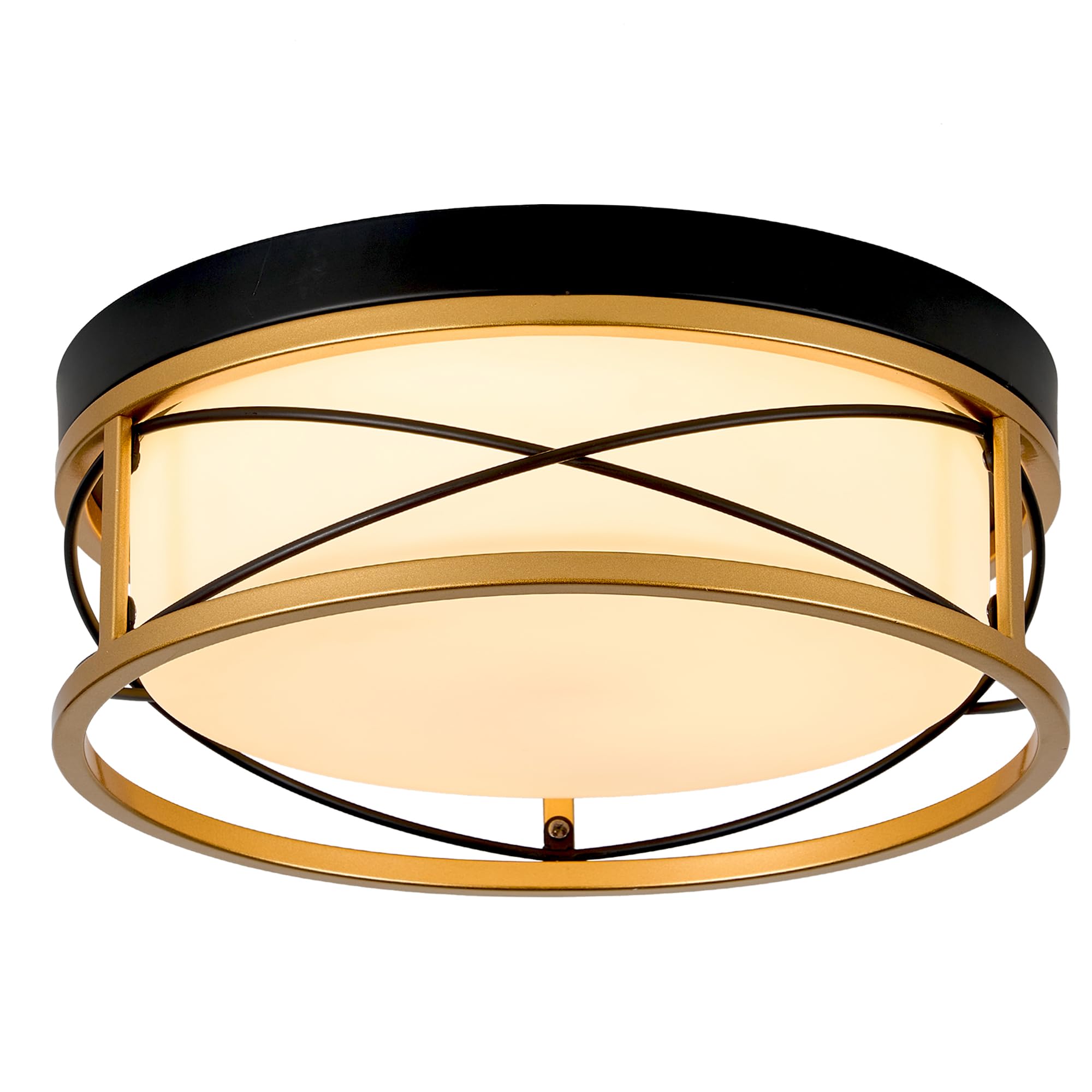 Hanass 12&quot; Flush Mount Ceiling Light, 24W Led, 1900 Lumen, Gold Frosted Glass, 5