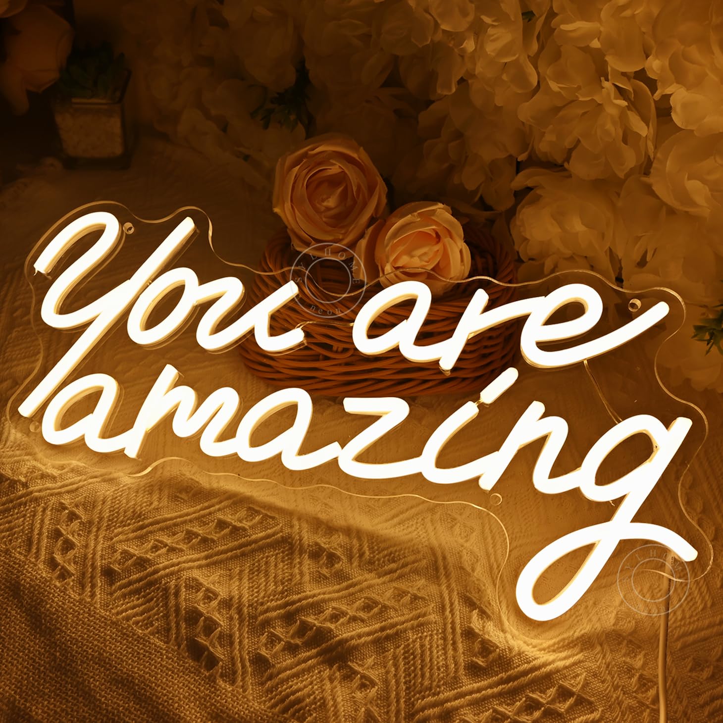 SYLHOME Neon Light Sign - You Are Amazing - Warm White Acrylic - 15.75in x 8.94in - Wall Decor for Girls Bedroom, Kids Room, Parties