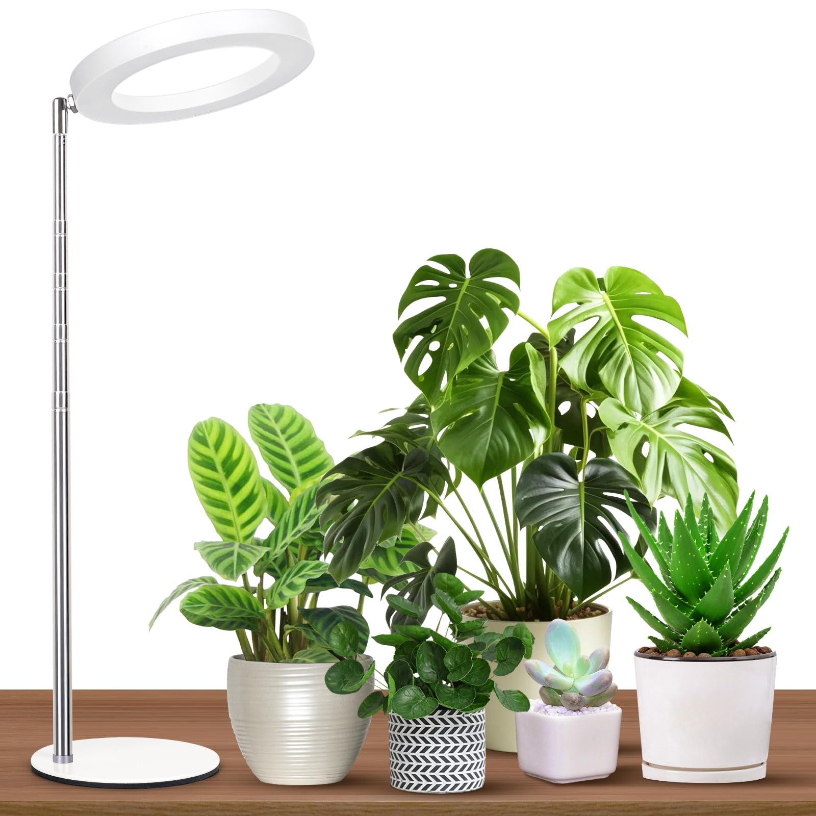 GTRUIIDY Desktop Grow Light, Height Adjustable Grow Lights for Indoor Plants Full Spectrum, 3 Lighting Mode, Halo Grow Light wit