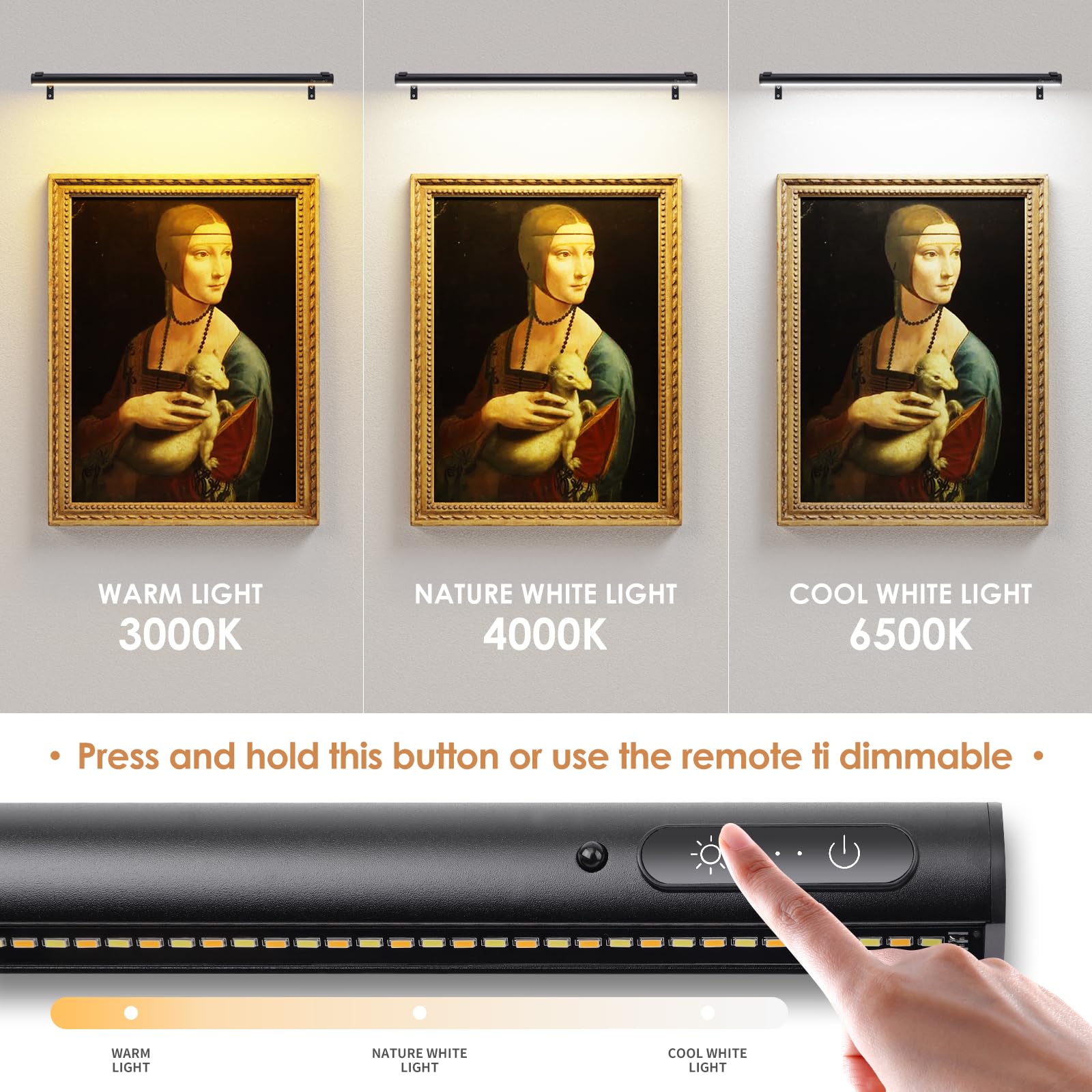 EAYOYAE Wireless Picture Light - 31.5" Black Art Display Light, Remote Control, Rechargeable/Plugged in, Aluminum, Model PC-80c