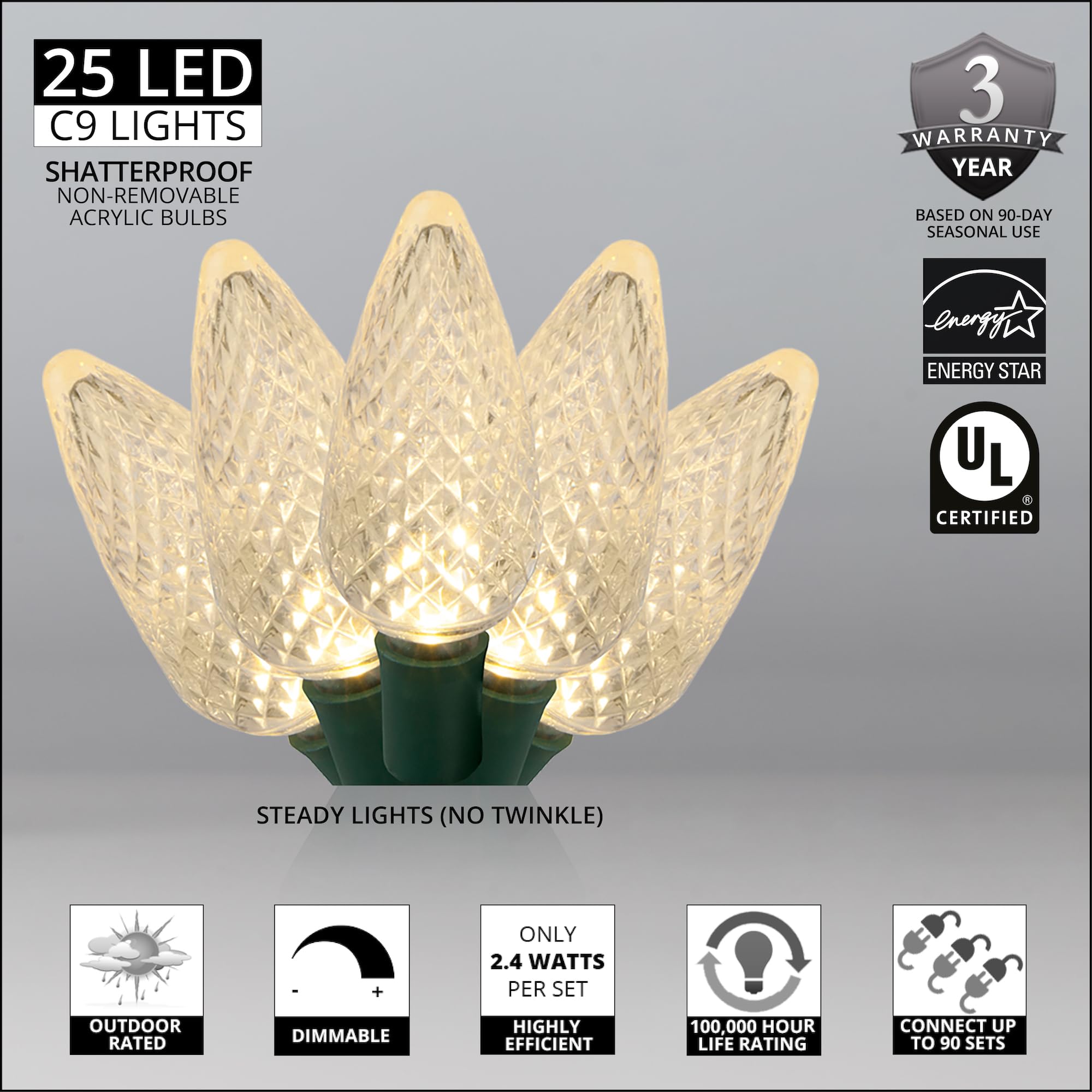 Wintergreen Lighting C9 LED Christmas Lights Set of 25, 17 Ft, Warm White, Indoor-Outdoor, Model IOS-4-25, Acrylic