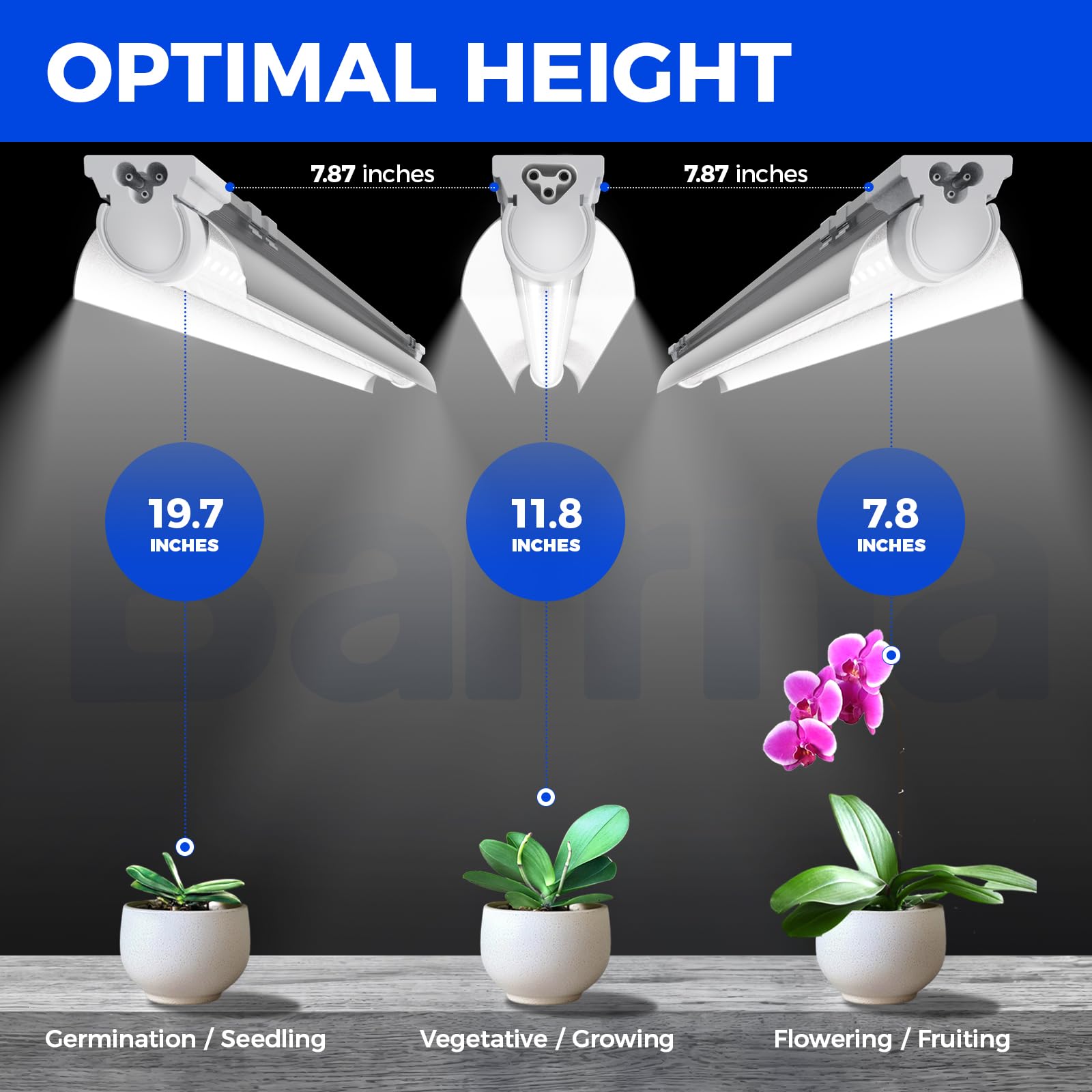 Barrina T8 Grow Lights, 5000K Full Spectrum, 1FT V-Shape Plant Light Strip, Linkable, 60W, White, 4 Packs