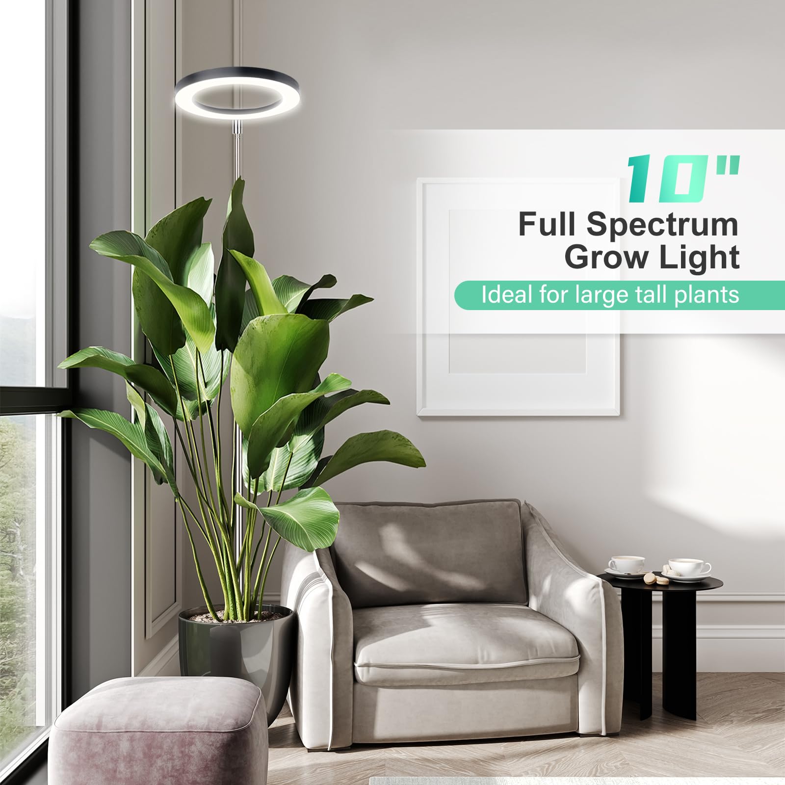 LORDEM 10" Full Spectrum Grow Light - 160 LEDs, 4/8/12H Timer, 3 Modes, 10 Dimmable Levels, Height Adjustable, Black, Model